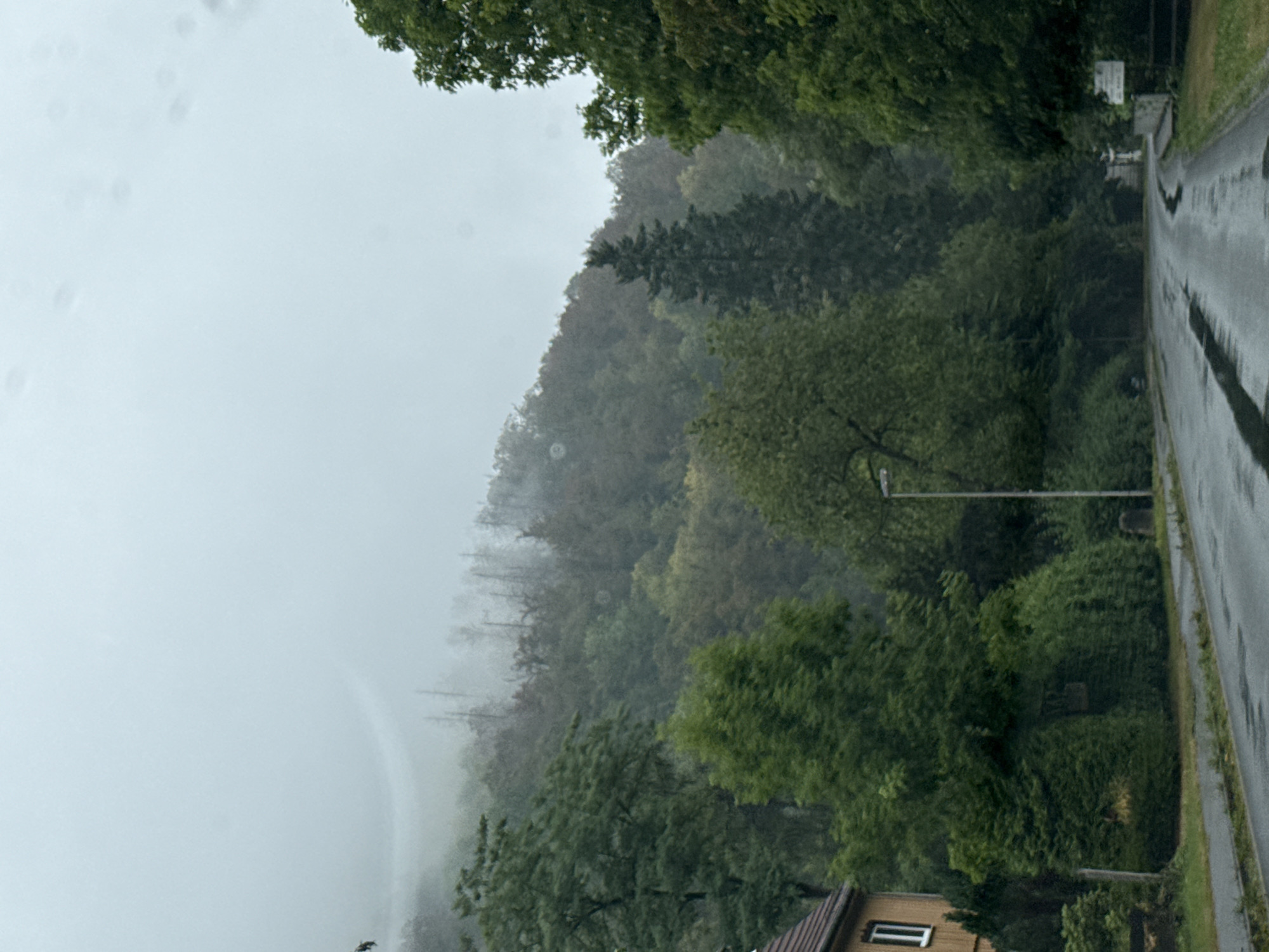 The image depicts a wet, overcast day in a village setting, likely Walkenried, Germany. A two-lane asphalt road, reflecting the sky and surrounding trees, curves into the distance. Puddles of water are visible on the road surface, indicating recent rainfall. To the left, a light-colored house with a dark-tiled roof and a single window is partially visible. Adjacent to the house is a dense, manicured hedge. Further down the road, a tall, slender streetlight stands next to the curb.
The background is dominated by a dense forest that ascends a hillside. The trees are lush and green, but the upper slopes are shrouded in a thick mist, obscuring the highest parts of the terrain. The mist creates a hazy, atmospheric effect, and some dead, bare trees are visible on the misty slopes, contrasting with the vibrant foliage below. The overall impression is one of a damp, natural environment within a populated area.