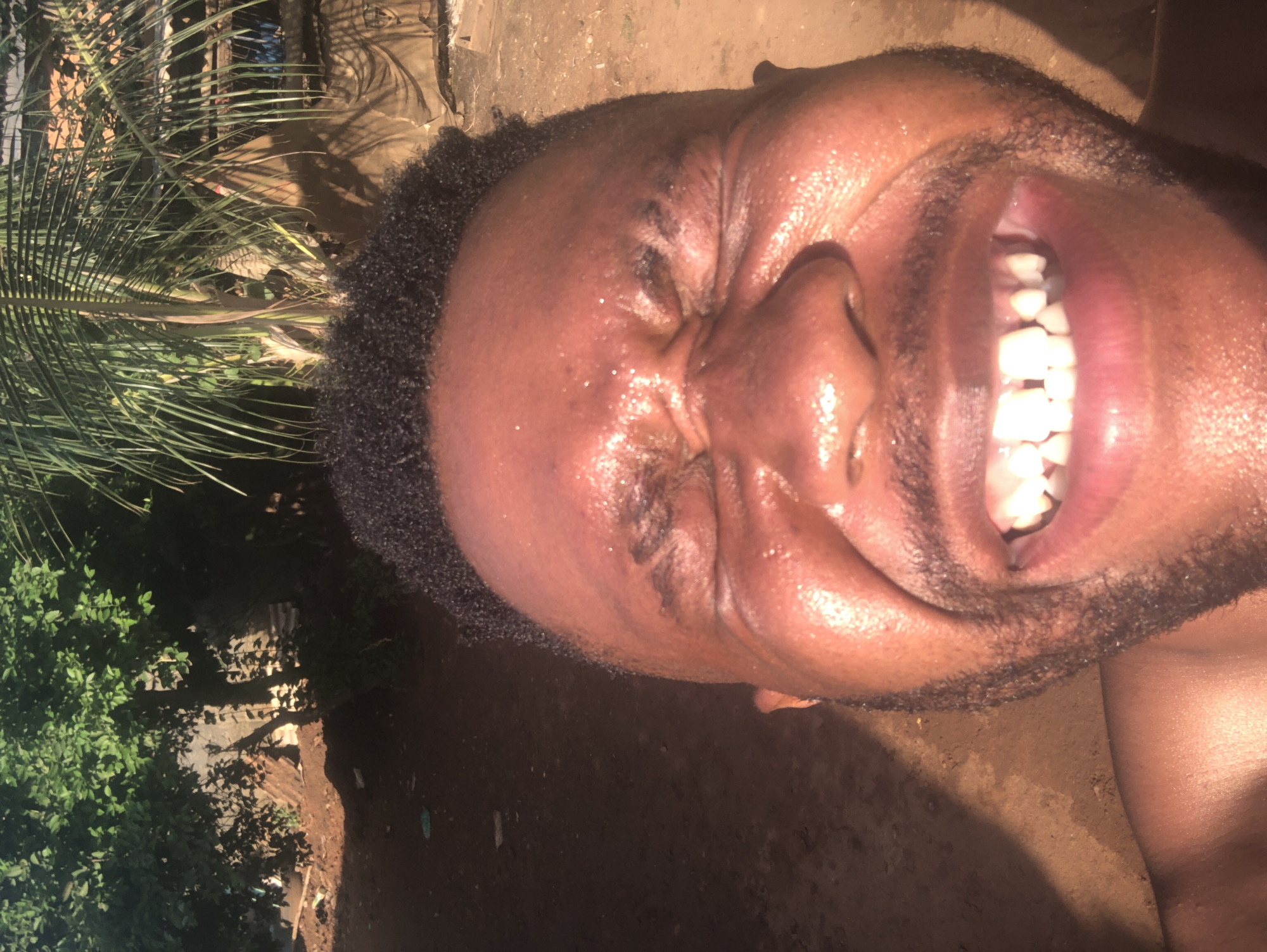 The image displays a close-up, portrait-style view of an adult male, captured with a sideways orientation. The subject has a dark complexion, short curly dark hair, and visible stubble on his chin and upper lip. His face shows a highly expressive, joyful emotion: his eyes are squinted tightly shut, and his mouth is wide open in a broad, toothy smile, revealing a full set of white teeth. His skin appears very shiny and glistening, suggesting it is wet with sweat or highly reflective under bright light.
The setting is outdoors. The left side of the frame features dense green foliage, including distinct palm fronds, indicative of a tropical or subtropical environment. The lower and right portions of the image show a reddish-brown, earthy ground. Strong highlights on the man's face and pronounced shadows throughout the scene suggest the photograph was taken during the day under direct, intense sunlight. There is no visible text in the image. The overall impression conveyed is one of intense happiness, laughter, or a moment of strong positive emotion captured in an outdoor, sunny setting.