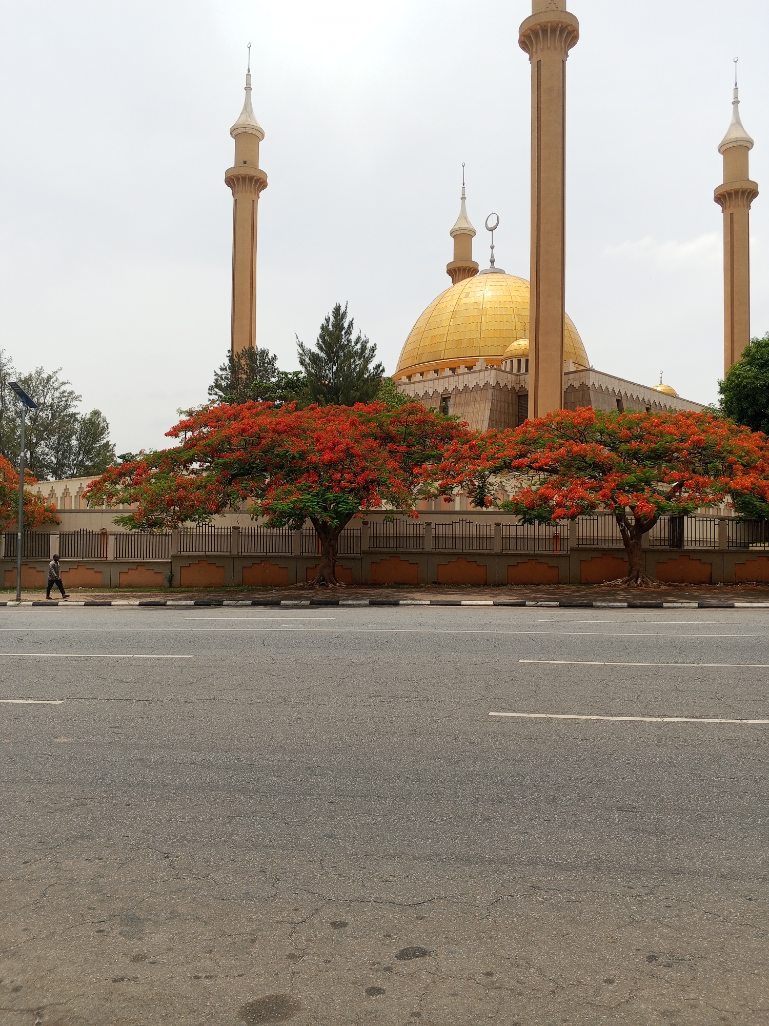 The image depicts the National Mosque in Abuja, Nigeria, framed by flame trees in full bloom. The mosque features a prominent golden dome and tall minarets, set against a cloudy sky. A black wrought-iron fence with a tan base runs along the perimeter of the mosque grounds. The foreground is dominated by a gray asphalt road with white lane markings. A solitary pedestrian is walking on the sidewalk to the left of the frame.