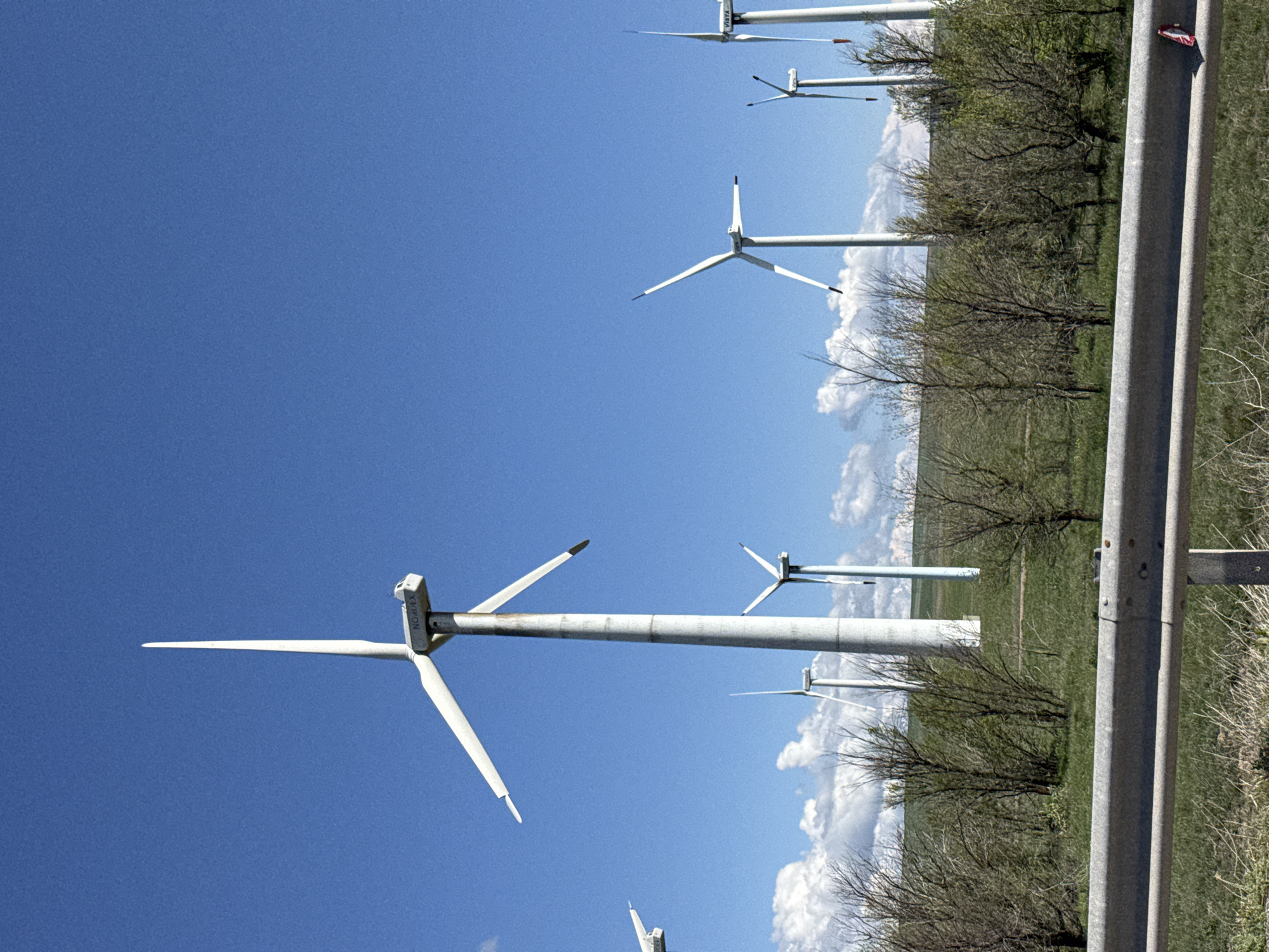 This image, taken in Kurday, Kazakhstan, depicts a wind farm under a vast, clear blue sky adorned with scattered white clouds. Multiple tall, white wind turbines with three blades are spread across the landscape, their structures gleaming in the bright sunlight. The ground is covered with green grass and numerous trees, some appearing bare or with sparse foliage, suggesting late winter or early spring.
In the foreground on the right side of the image, a grey metal guardrail is prominently featured, indicating the presence of a road or highway running alongside the wind farm. The scene is brightly lit, suggesting it is midday or early afternoon. No people or animals are visible, emphasizing the expansive and industrial nature of the setting.
Visible text includes "KRIPON" clearly printed on the nacelle (the housing behind the blades) of a wind turbine in the mid-ground. On another turbine positioned higher and further back, the word "VISTA" can be discerned. A small red and white object, possibly a marker or flag, is faintly visible near the top right, attached to what appears to be another structure. The overall impression is one of modern renewable energy infrastructure integrated into a natural, open environment.