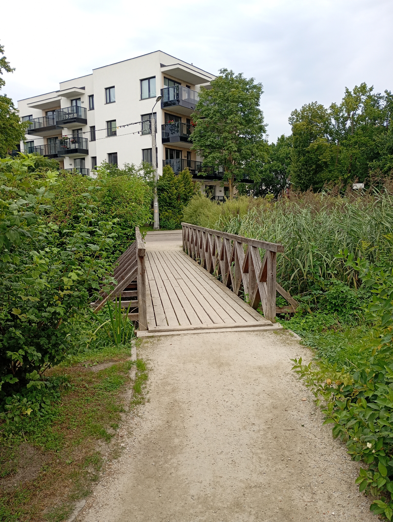 A wooden pedestrian bridge spans a small stream or drainage channel, leading into a park-like area with dense vegetation. To the left of the bridge, a modern, multi-story white apartment building with black balconies stands behind a thick barrier of green bushes and trees. The building features numerous windows and what appear to be air conditioning units. A street lamp is visible near the building. On the right side of the bridge, tall reeds and other green plants create a naturalistic backdrop. A dirt path approaches the bridge from the foreground. The sky is overcast. This scene is likely located in Białystok, Poland, given the architectural style of the building and the surrounding landscape.