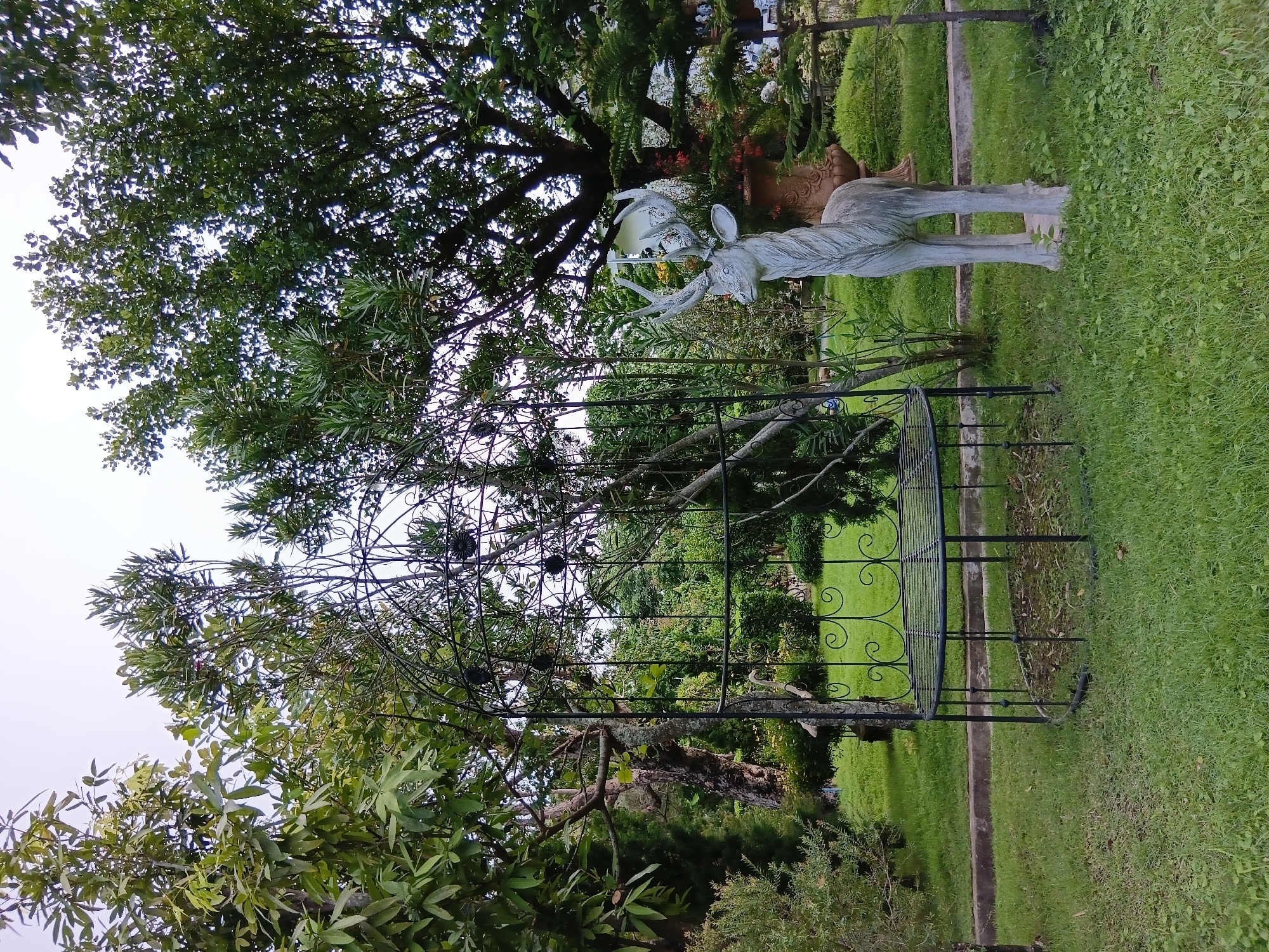 The image depicts an outdoor garden scene, likely in Ban Thong, Thailand. In the foreground, a light gray, life-size statue of a deer with antlers stands on a grassy lawn. To the left of the deer statue, there is a black metal garden arch with a bench inside. The arch is ornate, featuring scrollwork and decorative elements. Behind the arch and deer, a variety of trees and lush green foliage create a dense backdrop. The ground is covered in well-maintained grass, with some scattered leaves. The sky is overcast, suggesting a possibly cloudy day. The overall impression is of a serene and decorative garden space.