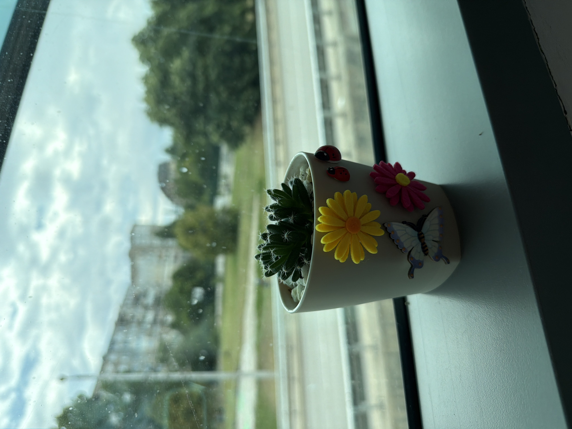 A potted succulent plant sits on a windowsill, with a blurred view of a city street and buildings in the background. The pot is white and decorated with a yellow daisy, a pink daisy, a butterfly, and two ladybugs. The succulent is green with white spines. The window is slightly smudged, and the sky is cloudy. The scene appears to be an interior shot looking out a window. The specific location in Sofia, Bulgaria, cannot be determined from the visual information provided.
