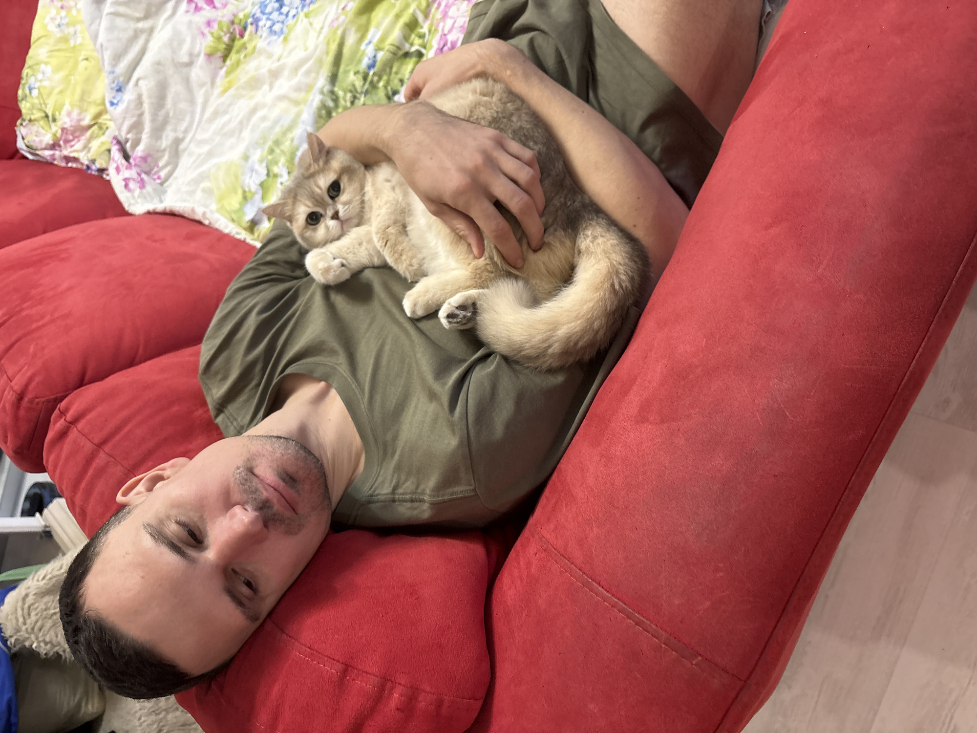 A man lies on a red couch, cradling a golden British Shorthair cat. He wears a green T-shirt and his hand rests on the cat's body. The background includes a floral-patterned blanket and the edge of a white shelf. The photo was taken in a room in Chaikovsky, Russia.