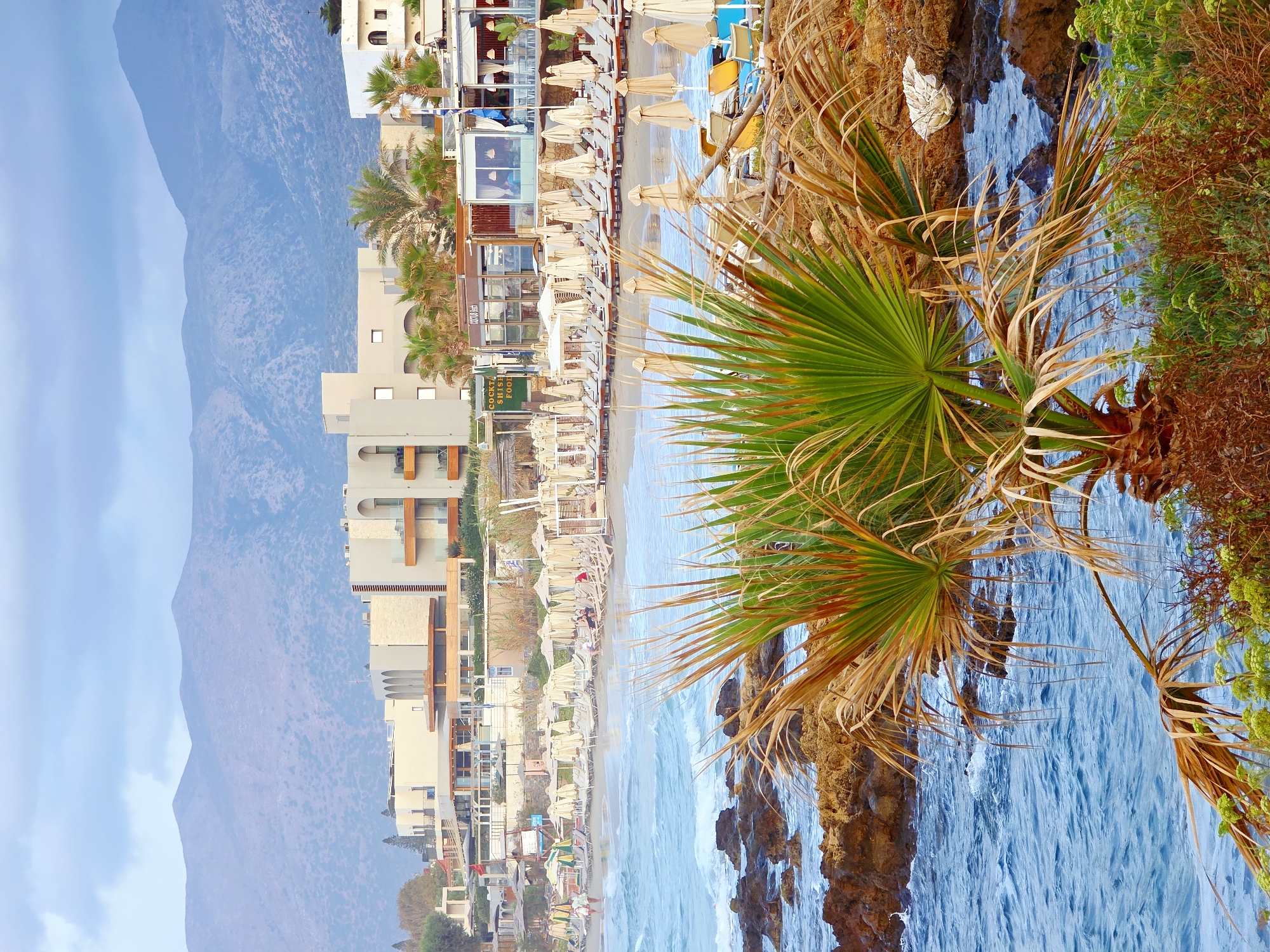 The image depicts a view of a beach resort in Malia Municipal Unit, Greece, with a body of water in the foreground and buildings and mountains in the background. The water is a deep blue with white foam on the waves, and it laps against a rocky shoreline. In the immediate foreground, there is a palm tree with green and brown fronds. Behind the palm tree, the beach is lined with rows of lounge chairs and umbrellas, most of which are a light beige color. Beyond the beach, there are several multi-story buildings with a modern architectural style, featuring white or light-colored facades, balconies, and arched windows. Some of these buildings appear to be hotels or resort facilities, with signs visible for establishments like "COCKTAIL SHISHI FOOD." Further in the distance, a range of mountains with sparse vegetation can be seen under a cloudy, pale blue sky. The overall scene suggests a coastal vacation destination.