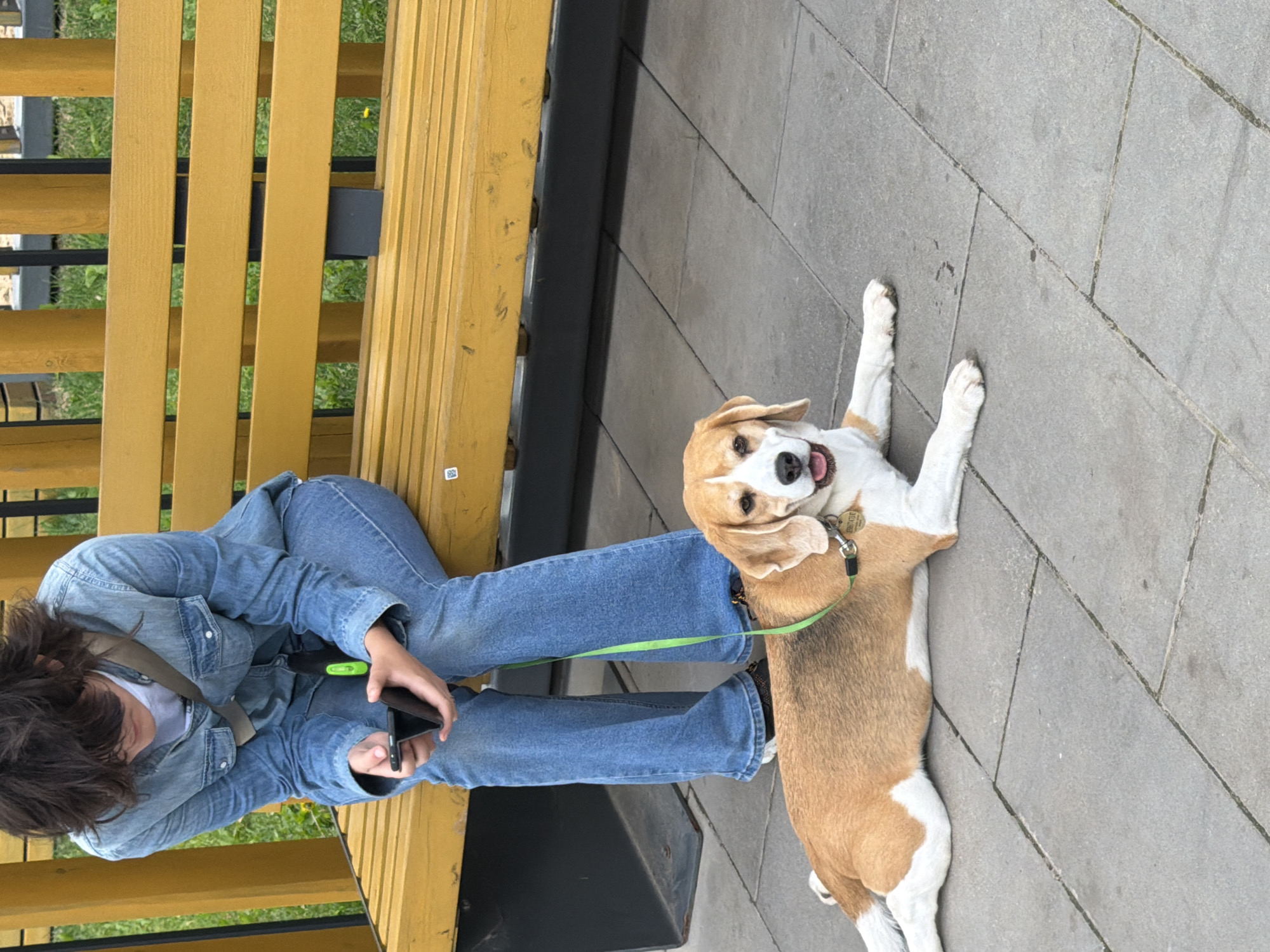 A person in a denim jacket and jeans sits on a yellow park bench, looking at their phone. A beagle is lying on the paved ground in front of the bench, with its leash attached to a collar. The background shows grass and a wooden fence. The location is identified as Kazan, Russia, implying it's a public park or outdoor area within the city.