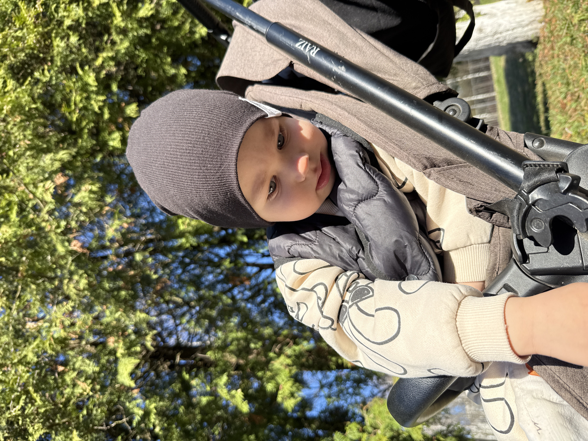 A young child wearing a grey beanie and a cream-colored jacket with black graphic patterns is seated in a stroller outdoors. The stroller has a brown fabric canopy, and the handle is black with the word "RAIZ" printed on it. A black backpack is behind the child's head. The child's hands are visible, one holding onto the stroller bar. In the background, there is dense green foliage. The image was taken in a sunny location, in the city of Rusanovo, Russia.