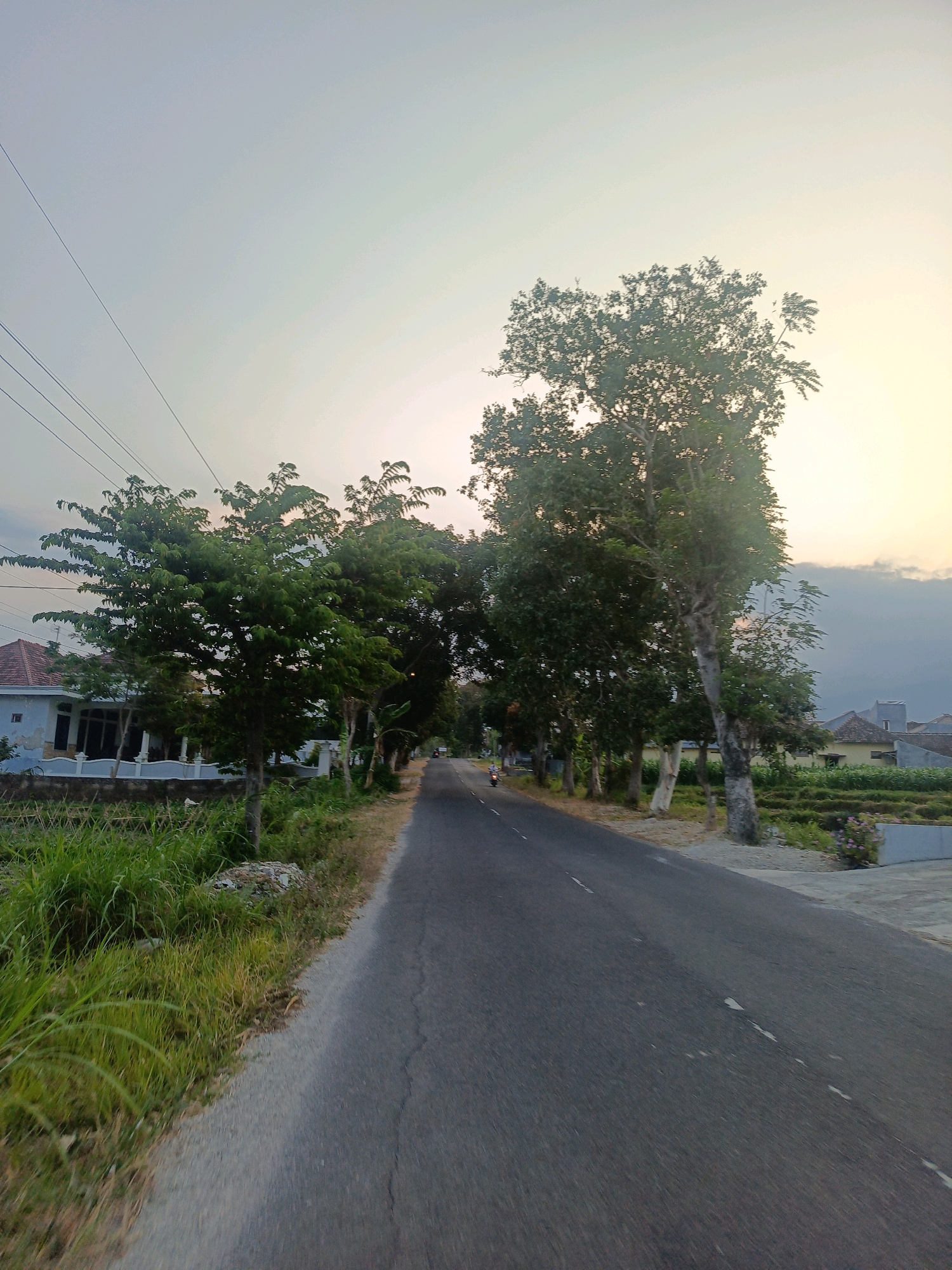 The image depicts a rural road in Nitikan, Indonesia, at dusk. The road is asphalted and appears to be a two-lane thoroughfare with a single white dashed line marking the center. On the left side of the road, there is lush green grass and vegetation, followed by a house with a white fence and a tiled roof. Several trees with dense green foliage line the road. On the right side, there are more trees, some with visible white trunks, and a terraced field that appears to be planted with rice or a similar crop. In the distance, houses with light-colored roofs are visible. The sky is a pale yellow and orange gradient, indicative of sunset, with some faint clouds towards the right. A single motorcyclist is visible on the road in the middle distance, heading away from the viewer. Power lines are strung across the upper left portion of the frame.