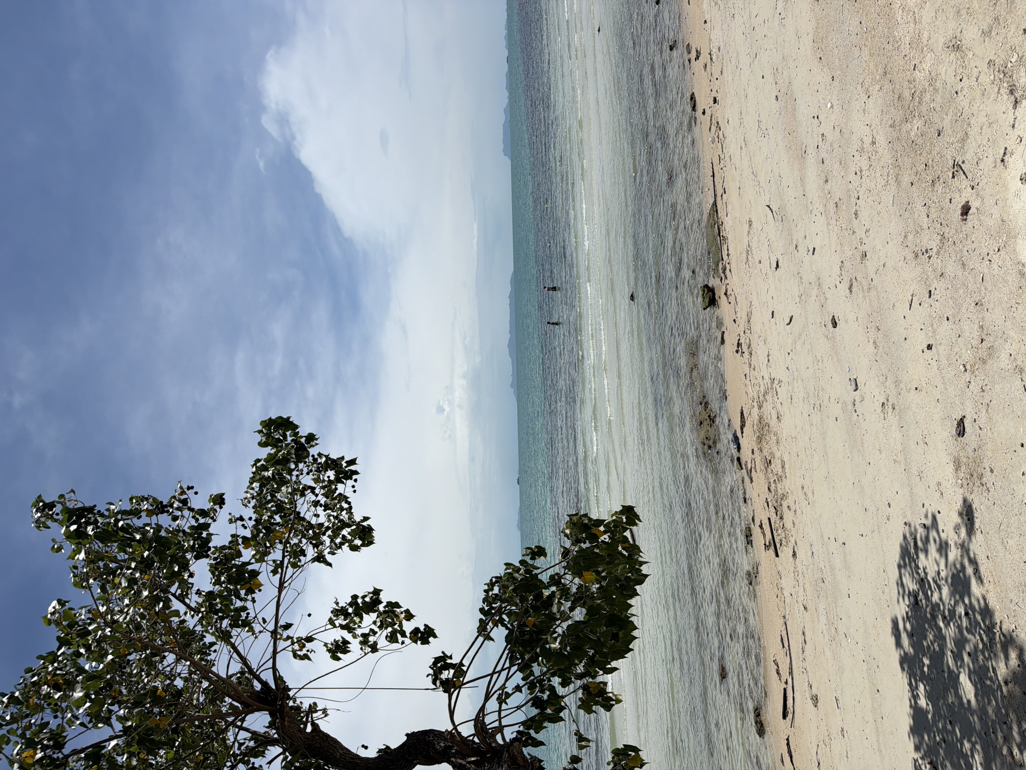 The image depicts a beach scene in Baan Taling Ngam, Thailand. The sky is blue with scattered white clouds. A tree with green leaves is in the foreground, on the left. The sea is calm with a light green hue, transitioning to a darker shade further out. In the distance, two people are standing in the water. The beach sand is light in color and appears somewhat course, with some visible debris. A tree shadow is cast on the beach. The image is vertically oriented.