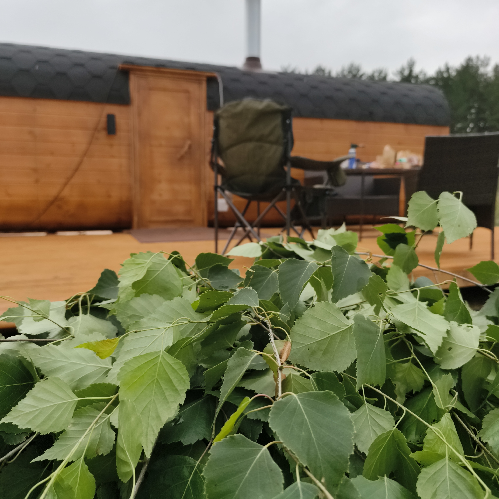 In the foreground of the image, a pile of fresh green birch branches with leaves lies on a wooden deck. The branches are abundant and fill the lower portion of the frame, suggesting they are prepared for use, likely as a venik for a sauna.
Behind the branches, a wooden, barrel-shaped sauna building is visible. It has a dark, shingled roof and a wooden door on the side. A metal chimney extends from the roof. In front of the sauna, there are two folding chairs and a table with some items on it, including what appears to be a spray bottle, a paper bag, and possibly some food items. The setting is outdoors, with trees visible in the background, indicating a natural or semi-rural environment.
The lighting suggests an overcast day, with diffused light and no harsh shadows. The overall atmosphere feels relaxed and suggests preparation for or enjoyment of a traditional Russian banya experience. The image does not contain any visible text. The location is identified as Chaikovsky, Russia, which is known for its connection to banya culture.