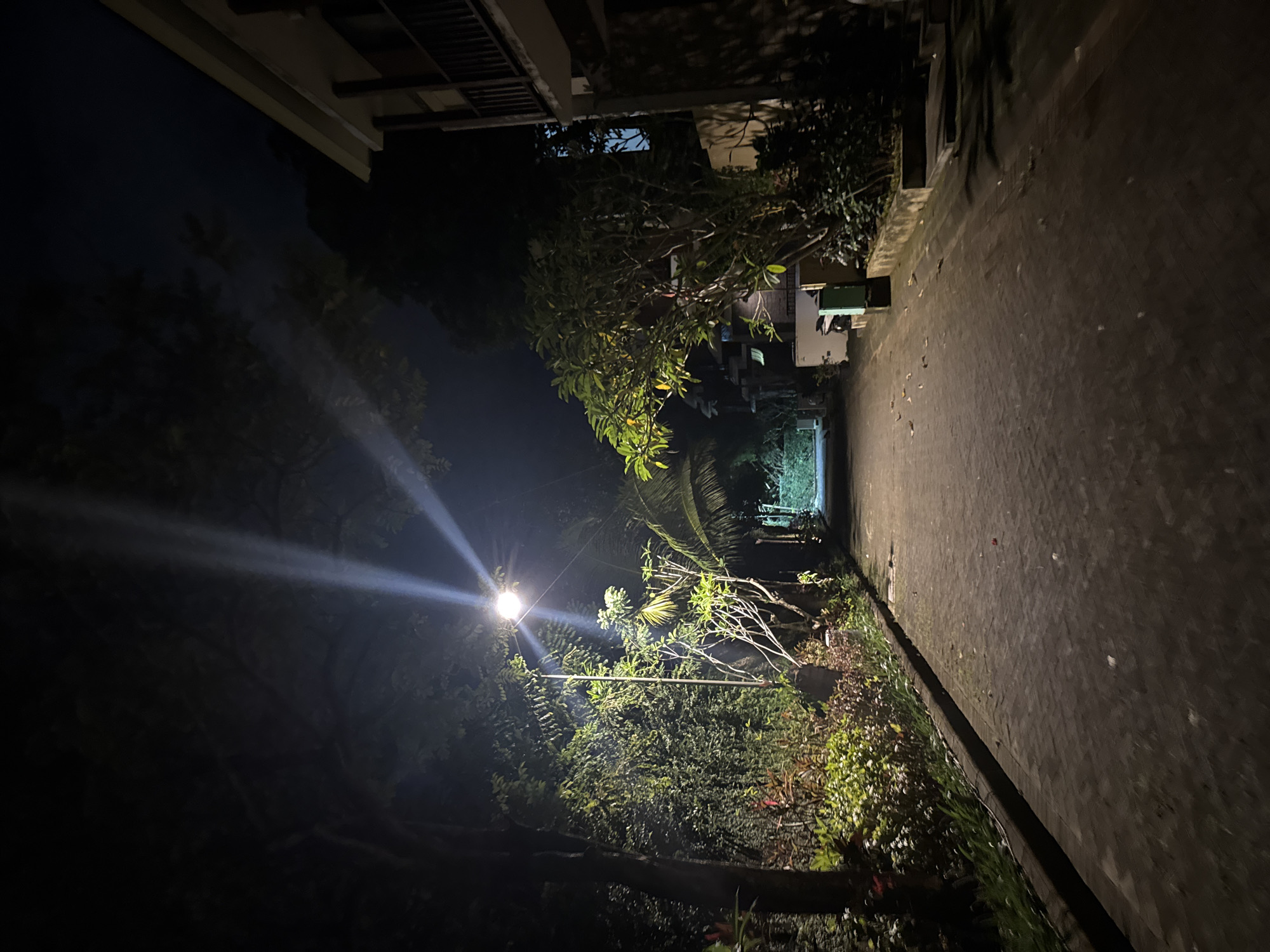 Captured in Kuta Selatan, Indonesia, the image presents a dimly lit street at night. A single street lamp is present on the left side, its glow dominating the frame. The street's surface, composed of dark paving stones, stretches into the distance. Buildings border the left side and densely vegetated areas line the right. No people are visible. The overall environment suggests a quiet residential area.