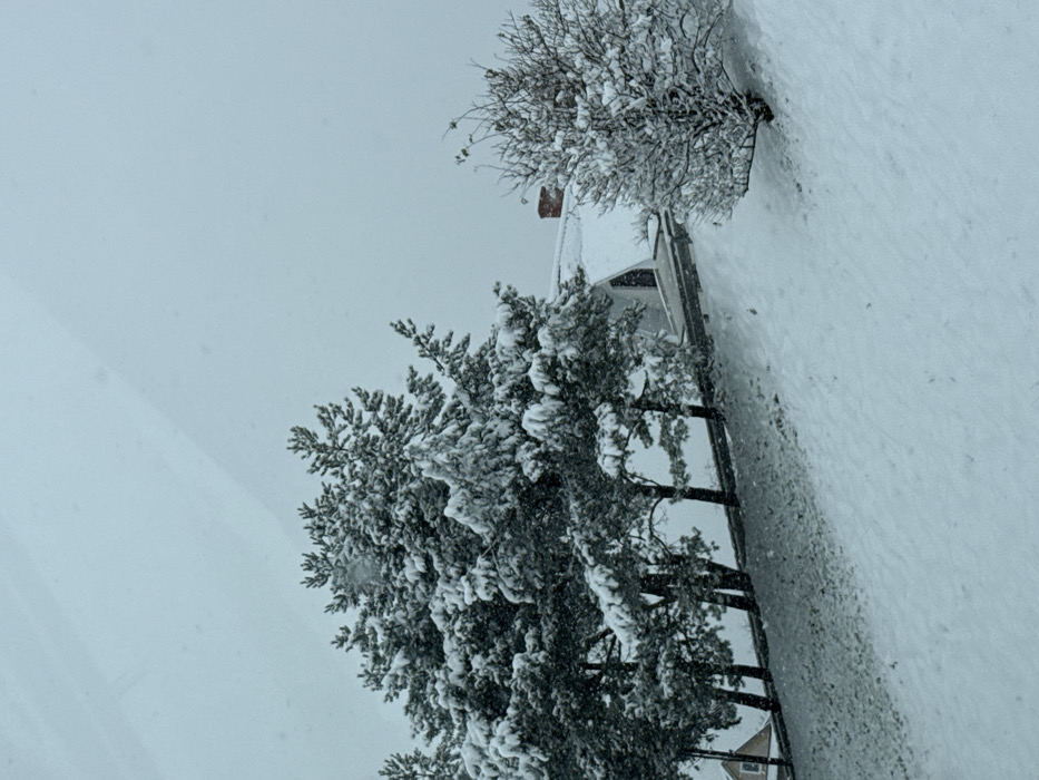 A static, elevated view captures a snow-covered winter landscape in Rdzawka, Poland, under an overcast sky. The foreground and midground are dominated by a steep, undisturbed snow-covered slope. A cluster of approximately five to six snow-laden evergreen trees stands prominently on an elevated bank towards the left. Behind these trees, a dark, cleared strip, likely a road or path, runs horizontally, partially obscured by a dark barrier or guardrail. Further back and to the right, a residential building with a steep, snow-covered gabled roof is visible. A reddish-brown chimney protrudes from the roof's peak, and a single, dark, triangular window is present on the visible side facade. A bare, deciduous tree or large bush, also heavily coated in snow, stands to the right of the house. A sliver of another building is faintly visible in the far left background. No individuals or active movements are observed.