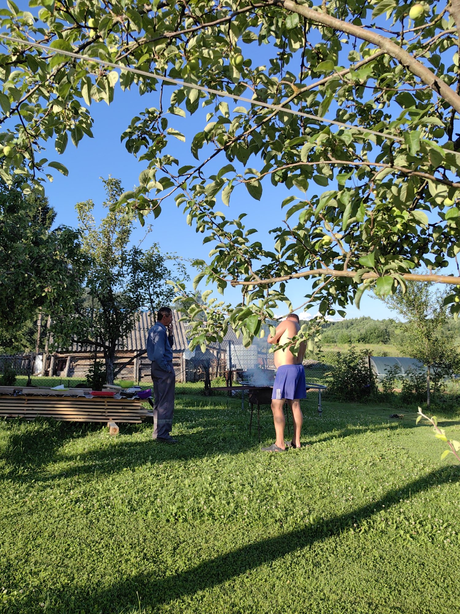 Two men are in a grassy backyard in Дзямідавіцкі сельскі Савет, Belarus. One man, wearing a blue long-sleeved shirt and grey pants, stands near a stack of lumber on the left side of the frame, holding what appears to be a cigarette to his mouth. The second man, shirtless and wearing blue shorts, stands near a barbecue grill emitting smoke on the right side of the frame, facing away from the camera. In the background, a rustic wooden building with a grey corrugated roof is visible, along with trees, a greenhouse, and a rolling green landscape under a clear blue sky. The foreground is dominated by green grass, dappled with sunlight and shadow from the trees.