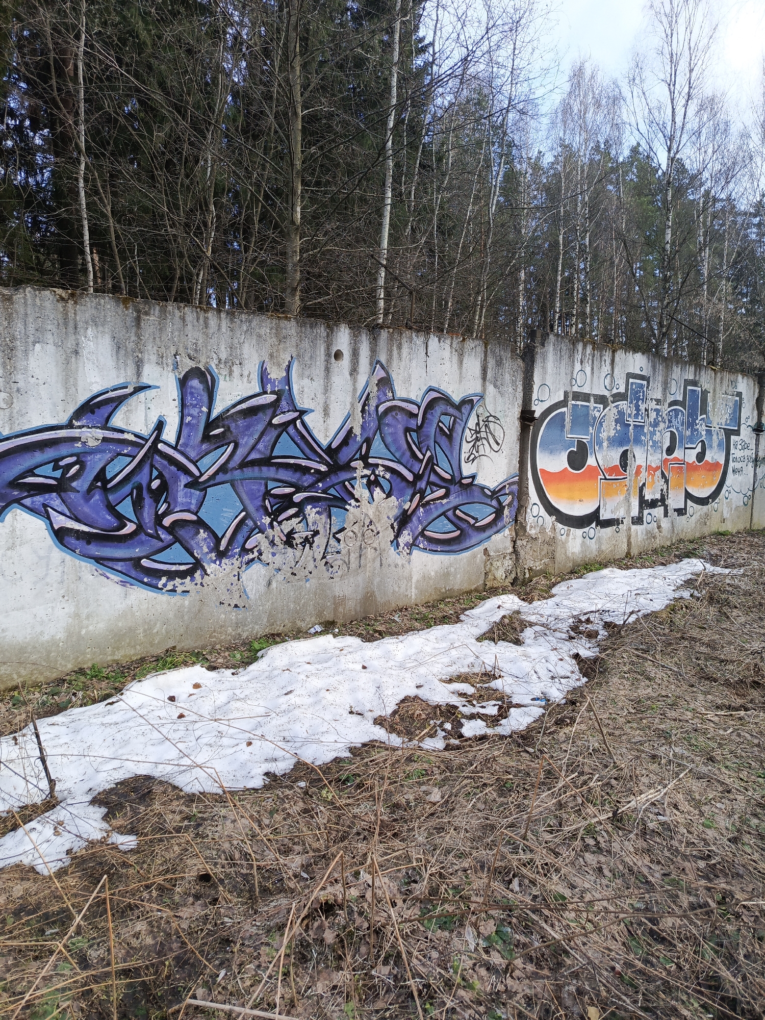 The image depicts a section of a weathered concrete wall covered in graffiti, with remnants of snow on the ground in front of it. The wall is located in Chaikovsky, Russia.
The graffiti is composed of two distinct pieces: One is a complex abstract design in shades of blue, purple, and black with a light blue fill. The other, to the right, is a more stylized block letter design.
The ground in front of the wall is covered with dead grass, brown leaves, and patches of melting snow. Behind the wall is a dense wooded area with bare trees. The sky is overcast. There are no people visible in the image.
