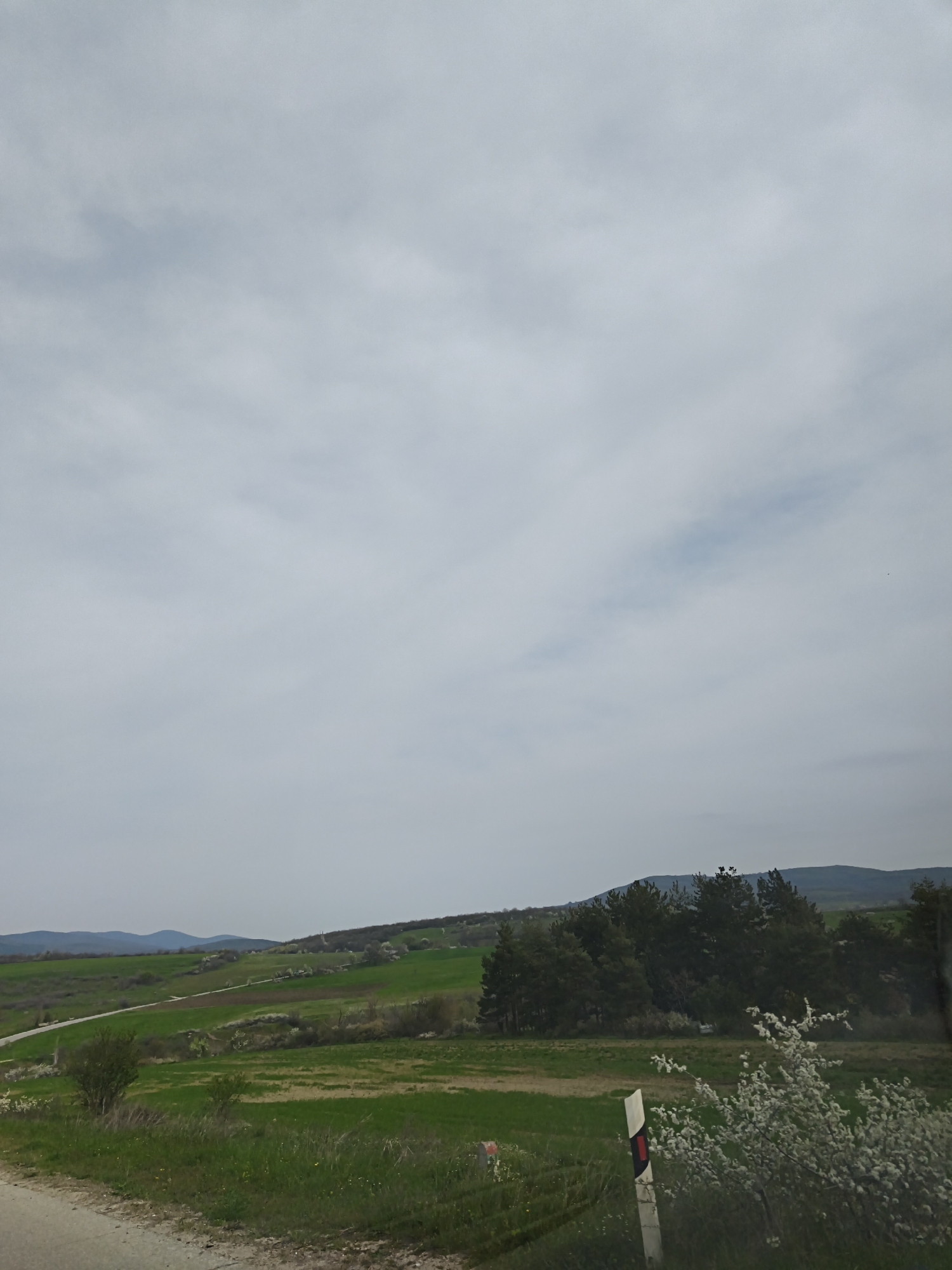 The image shows a rural landscape under an overcast sky. Rolling green hills stretch across the middle ground, dotted with trees and shrubs. A road winds through the landscape. In the foreground, a portion of a paved road is visible, along with roadside vegetation, a signpost with red and white markings, and a flowering shrub. Distant mountains are visible on the horizon. The location appears to be in a remote, undeveloped area.