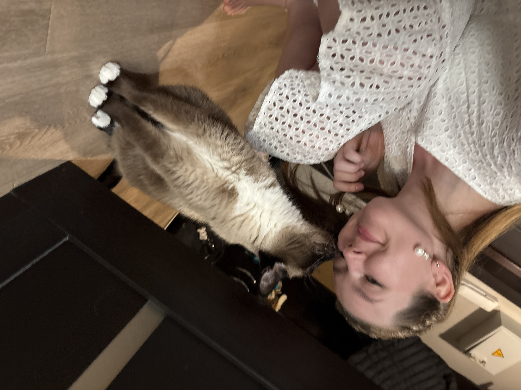 A woman in a white blouse is petting a Siamese cat with white paws. They are near a dark countertop and wooden floor. The location is unknown, and no information indicates it is in Izhevsk, Russia.