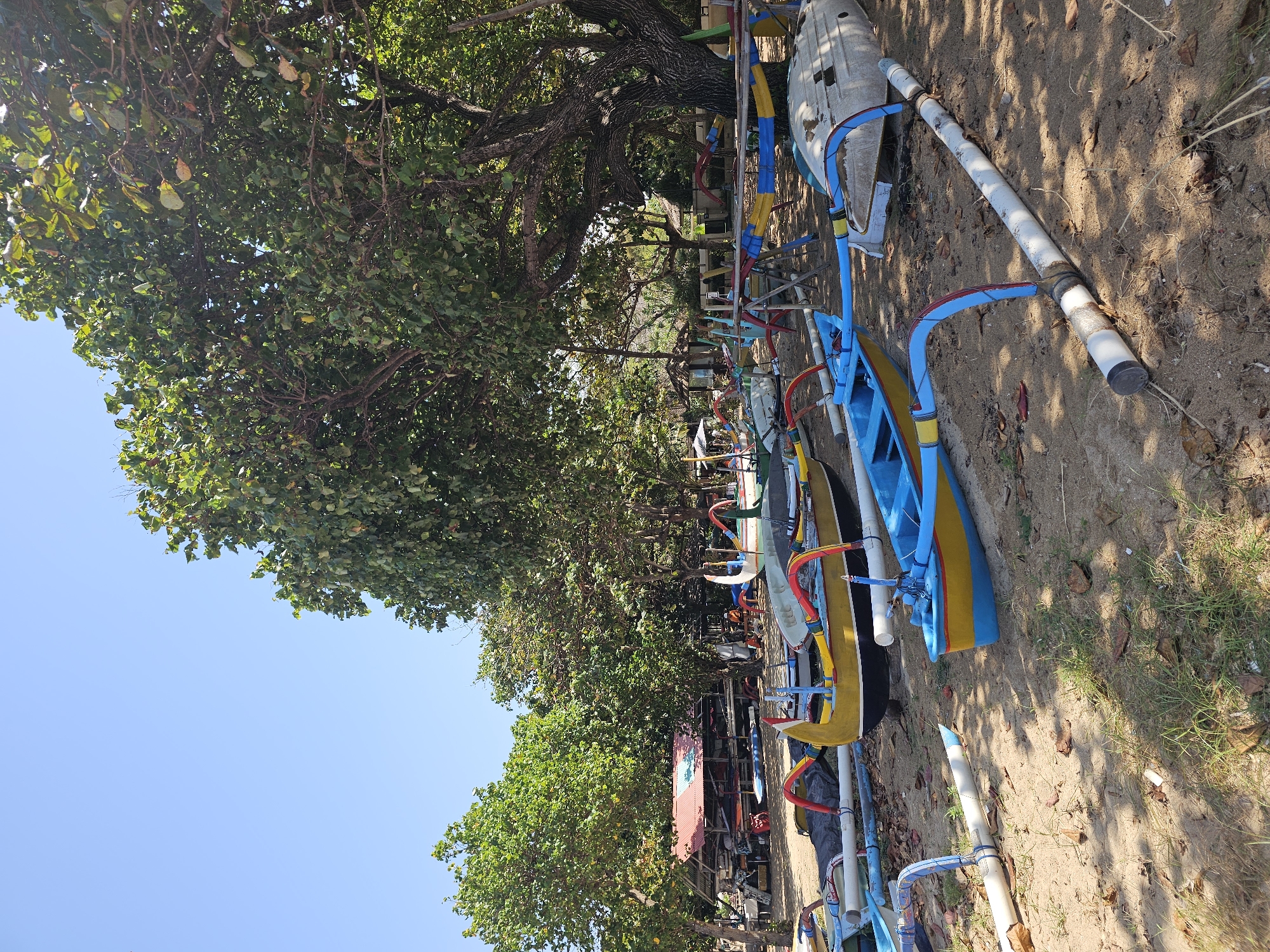 The image depicts a collection of traditional outrigger fishing boats (Jukung) resting on a sandy beach under the shade of large trees. The boats are colorful, with prominent yellow, blue, and red accents on their hulls and outriggers. Some boats are positioned upright, while others are partially or fully inverted, suggesting they are either under repair, storage, or preparation for use. The beach appears to be a working area for local fishermen, with elements like weathered pipes and wooden structures visible in the background, possibly part of the boats' support system or storage facilities. Behind the boats, a red-roofed structure, likely a small building or shelter, is partially obscured by trees. The environment is tropical, with lush green foliage from the large trees dominating the upper and middle sections of the frame. The sky is clear and blue. The scene conveys a sense of everyday maritime activity and traditional life on the coast of Denpasar, Indonesia, possibly in a location like Sanur Beach, known for its Jukung fleets. There are no people clearly visible in the foreground or midground of the image.