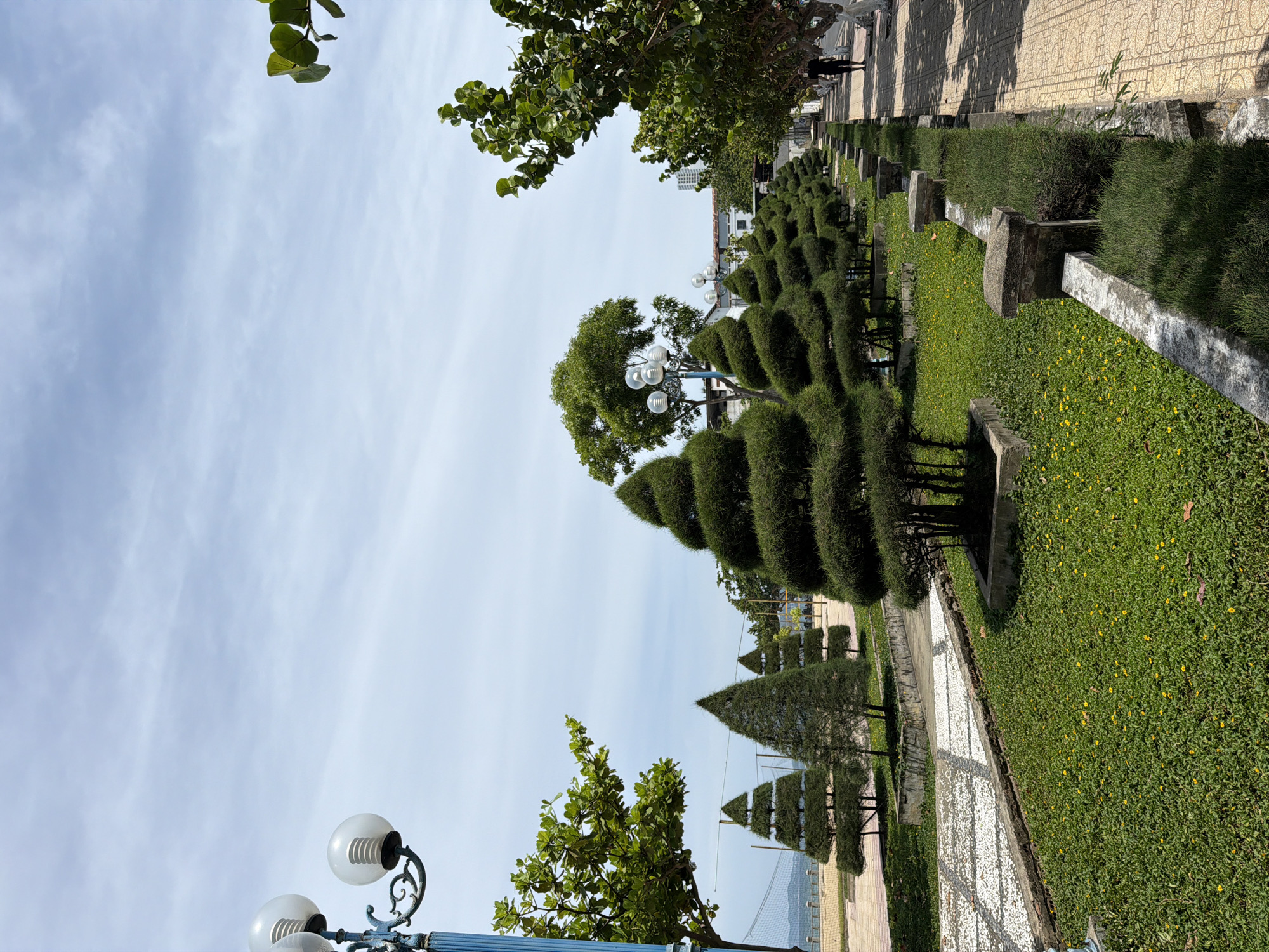 The image depicts a coastal park or promenade in Nha Trang Ward, Vietnam. In the foreground, manicured trees with a tiered, conical shape are planted in square beds, bordered by a low stone wall and lush green ground cover dotted with small yellow flowers. A mosaic pathway of white and grey stones runs alongside the manicured beds. To the right, a paved walkway is visible, with a single person walking away from the camera, casting a shadow. Further to the right, a line of trees with large green leaves lines the walkway. In the background, a beach with netting, water, and distant buildings can be seen. A blue lamppost with three globe lights stands on the left side of the image, near a large leafy tree. The sky is partly cloudy with pale blue and white streaks.