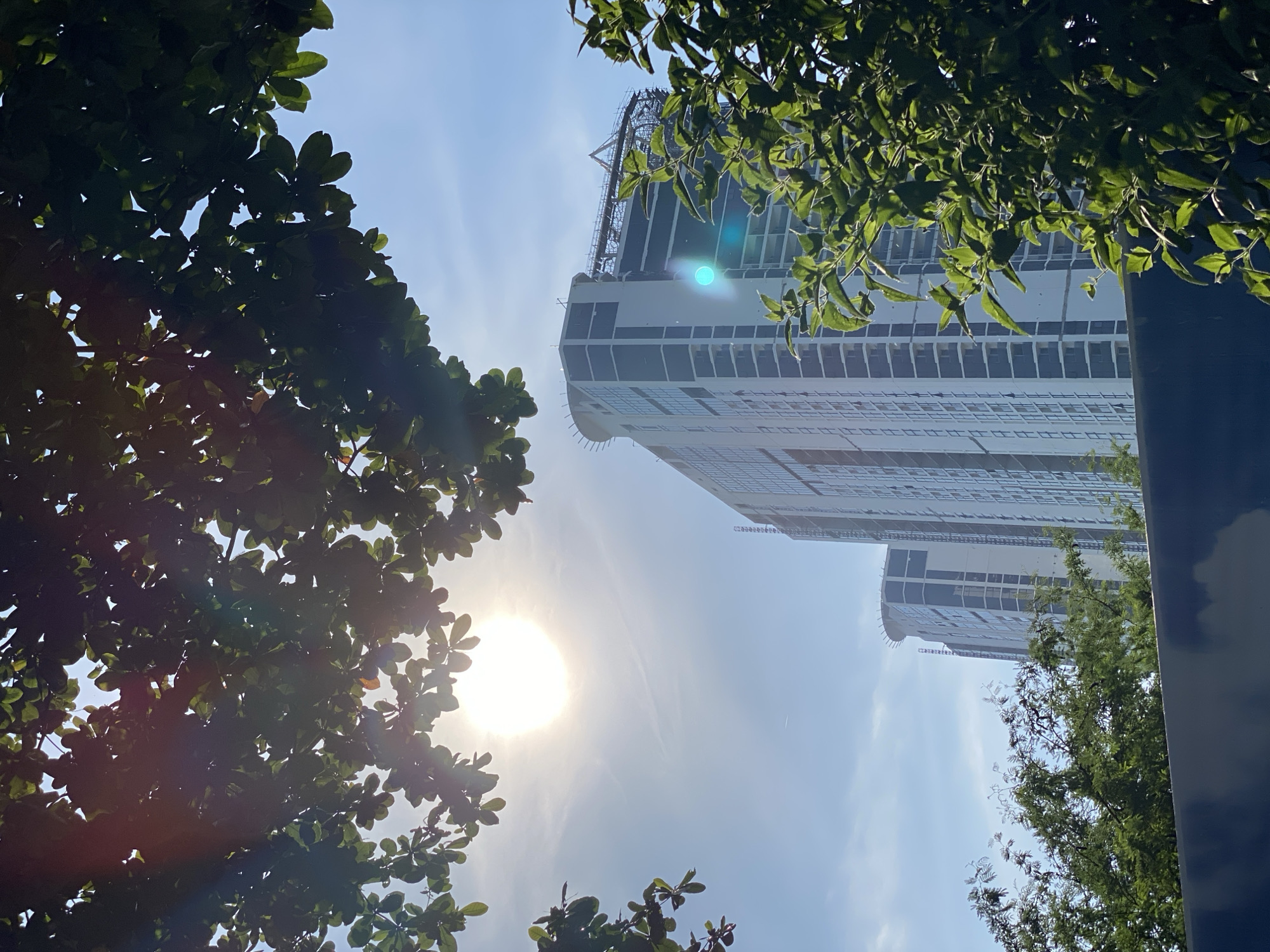The image captures a bright, sunny day in Nha Trang, Vietnam, with two under-construction skyscrapers dominating the background. Lush green foliage frames the scene from the foreground and partially obstructs the view of the buildings. The sun is high in the sky, creating a lens flare and casting bright light. The skyscrapers are modern, with glass facades and visible scaffolding at the top of the taller structure, indicating ongoing construction. A faint airplane contrail can be seen in the sky, and a teal lens flare is present on the facade of the closer skyscraper. The overall environment appears to be an urban setting, likely near a construction site.