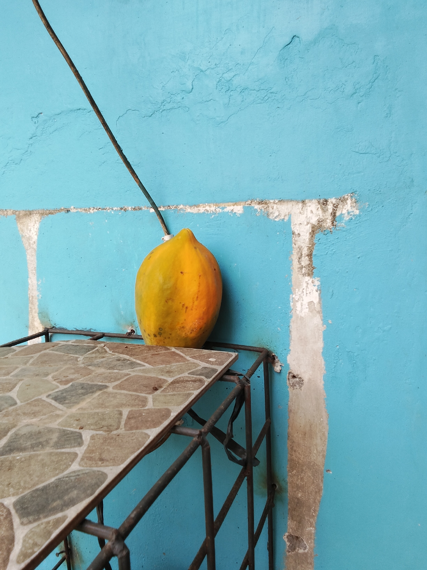 A single, ripe papaya, yellow and orange in hue, rests on a table with a tiled surface. The table is supported by dark, metal framing. Behind the papaya, a textured turquoise wall is visible, showing signs of wear with patches of peeling paint and exposed concrete. A dark, thin wire runs diagonally across the wall from the upper left corner. The scene appears to be outdoors, possibly in a courtyard or on a balcony, given the weathered wall and exposed wire. The setting is implied to be in Salaman, Indonesia, a region known for its tropical climate which supports papaya cultivation.