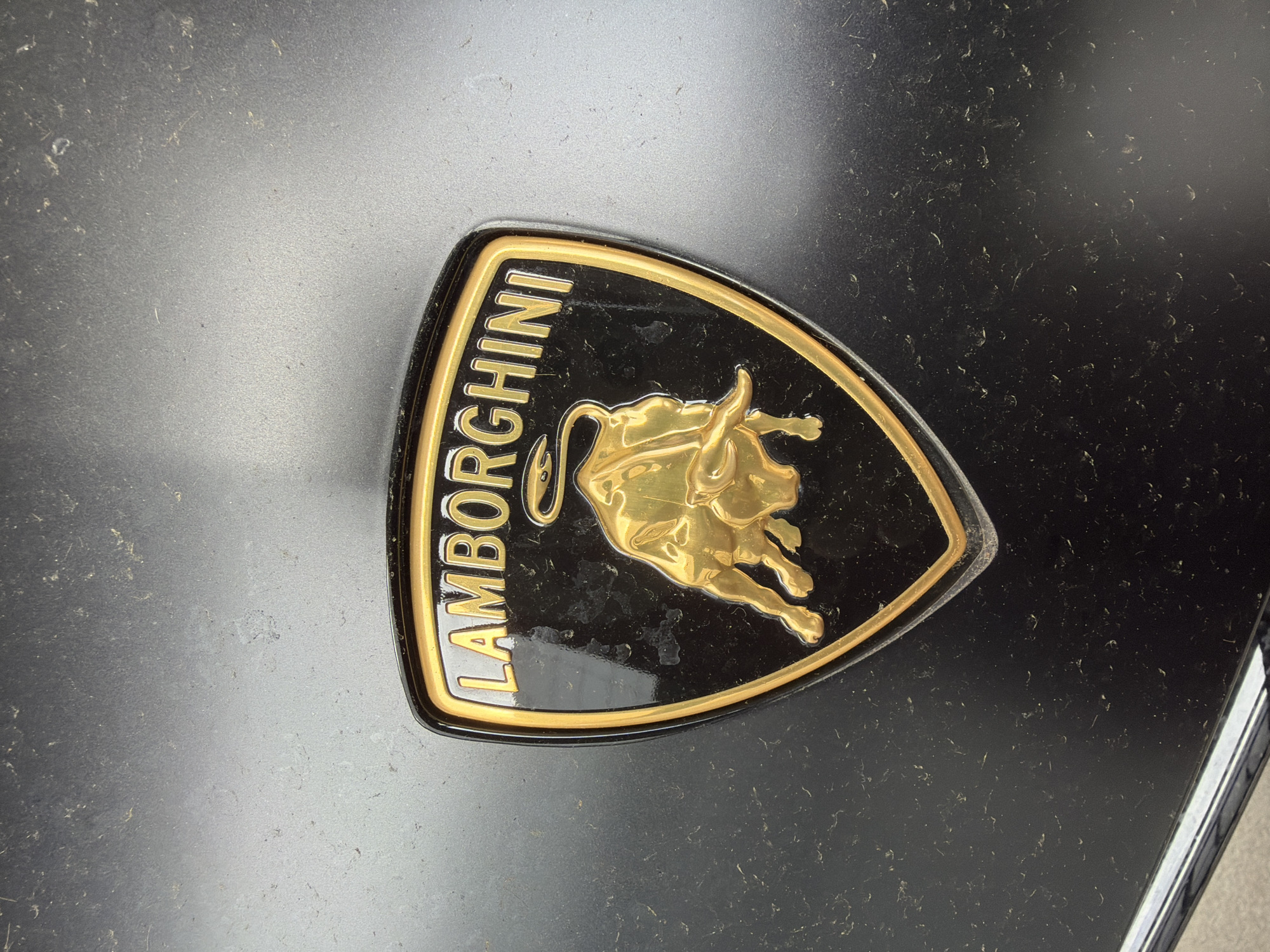 A close-up, high-angle shot captures a Lamborghini emblem set against a dark, matte surface, likely a car body panel. The emblem is shield-shaped, featuring a glossy black background bordered by a reflective gold trim. The word "LAMBORGHINI" is embossed vertically in gold capital letters along the left side of the shield. To the right, a stylized, golden charging bull is prominently displayed, depicted in an aggressive stance. Both the emblem and the surrounding dark surface are noticeably dusty, with numerous small specks of dirt and what appear to be light scuffs or smudges scattered across them. The lighting suggests it is daytime. No specific activity or emotion is depicted. The scene is set in London, United Kingdom.