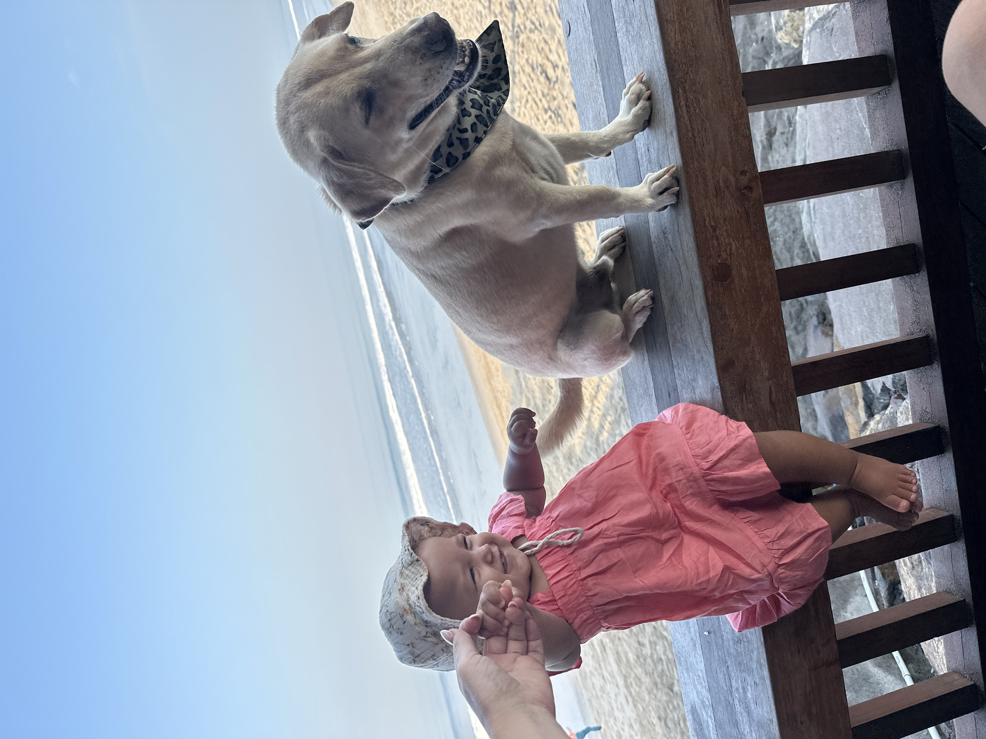 A light-skinned baby wearing a pink dress and a patterned hat is sitting on a wooden railing, holding hands with an adult's hand that is reaching into the frame. To the right of the baby, a tan dog wearing a leopard-print bandana is also sitting on the railing, looking to the right with its eyes closed. In the background, there is a sandy beach and the ocean under a clear blue sky. The scene appears to be a beachside cafe or restaurant in North Kuta, Indonesia.