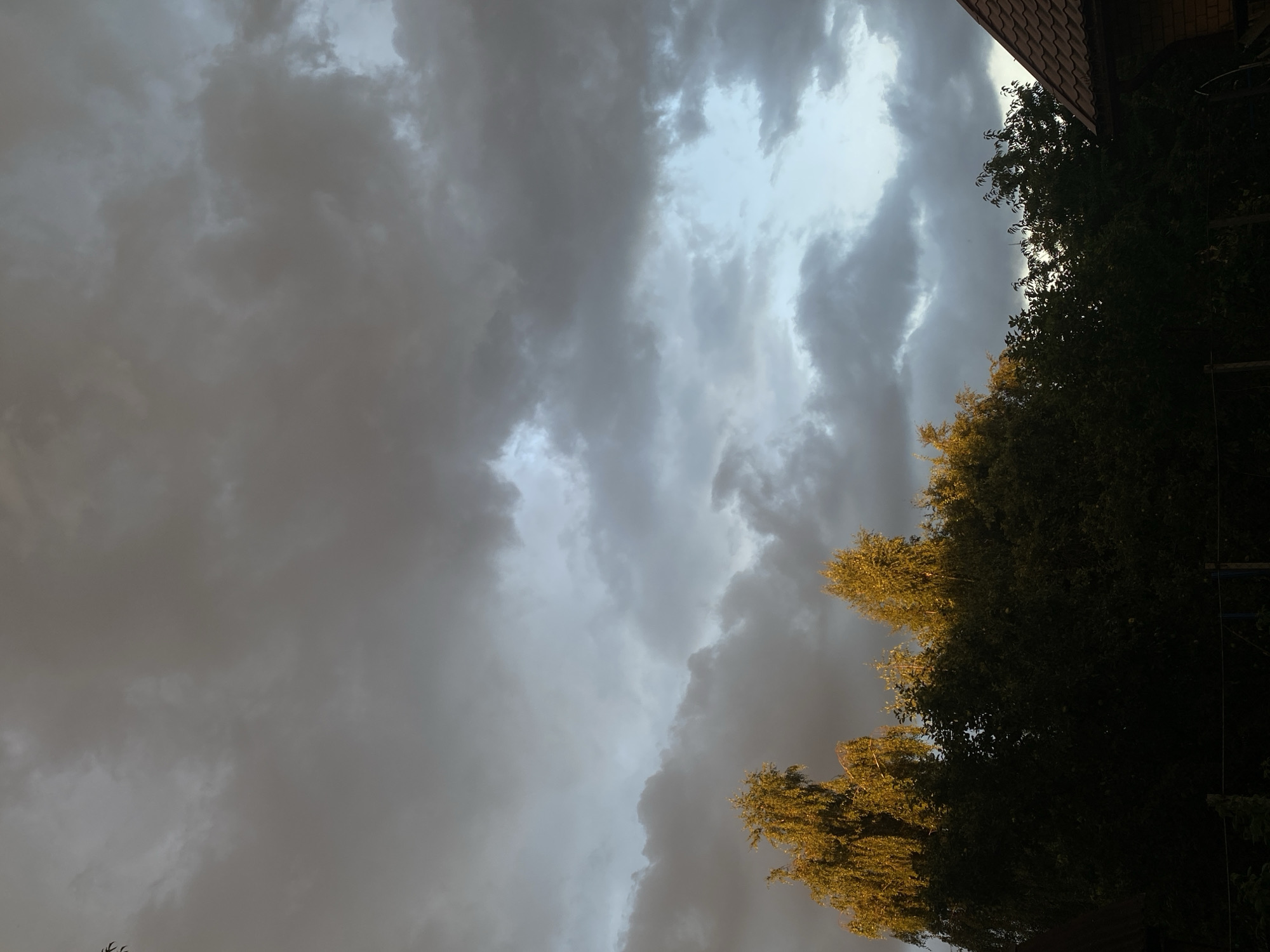 The image depicts an outdoor scene with a dramatic sky filled with dark, ominous clouds, interspersed with patches of lighter sky. In the lower portion of the frame, a dense line of trees runs horizontally. The foliage of some trees, particularly those on the left and center, is illuminated by a warm, golden light, suggesting it might be sunset or sunrise. On the far right, a portion of a brown, tiled roof of a building is visible, indicating a residential area. The overall atmosphere is moody and suggests impending weather changes. The scene is located in Balashikha, Russia.
