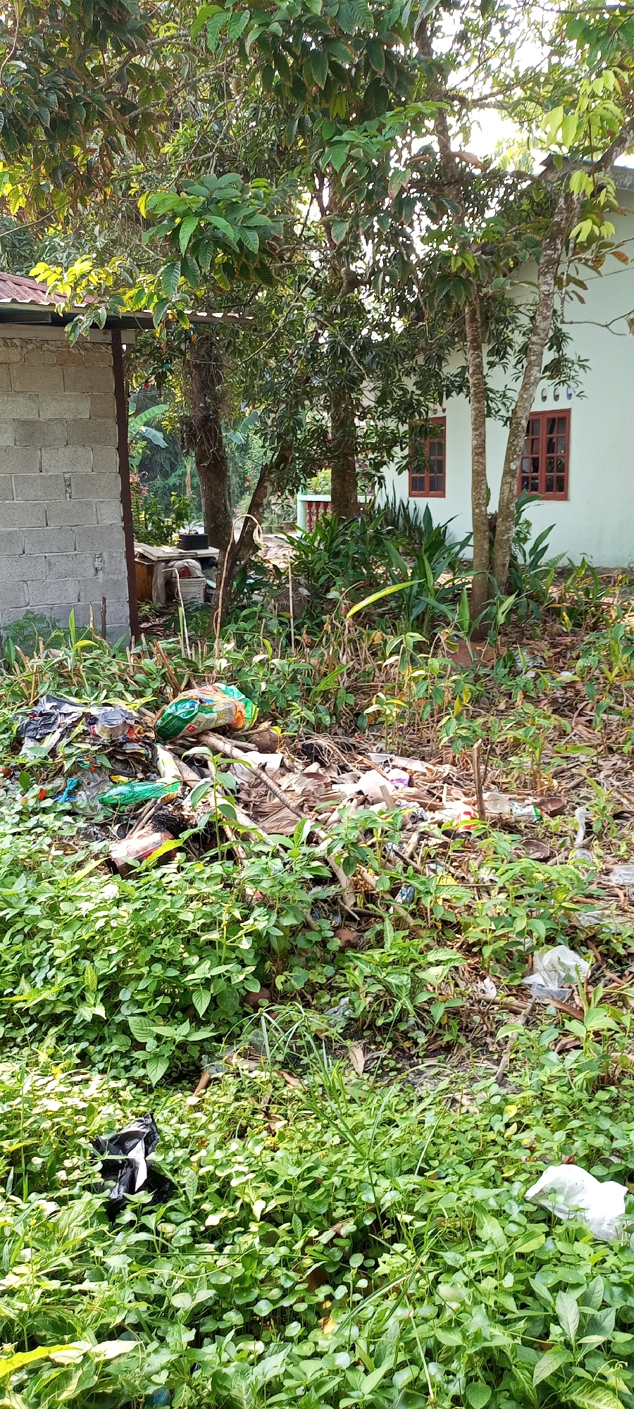 The image depicts an outdoor scene with a building and vegetation in Kampung Telaga Air, Malaysia. On the left, a portion of a building constructed with grey cinder blocks is visible, featuring a dark-colored roofline. Adjacent to this structure, a pile of garbage is accumulated, consisting of various plastic bags, wrappers, and discarded materials.
Dominating the foreground and midground is lush green vegetation, which appears unkempt and overgrown. The garbage pile is interspersed with this foliage. In the background, a light-colored building with two distinct brown-framed windows is present. Trees with green leaves are scattered throughout the scene, casting shadows and creating a dappled light effect. The overall environment suggests a neglected outdoor space with significant waste accumulation. No people are present in the image.