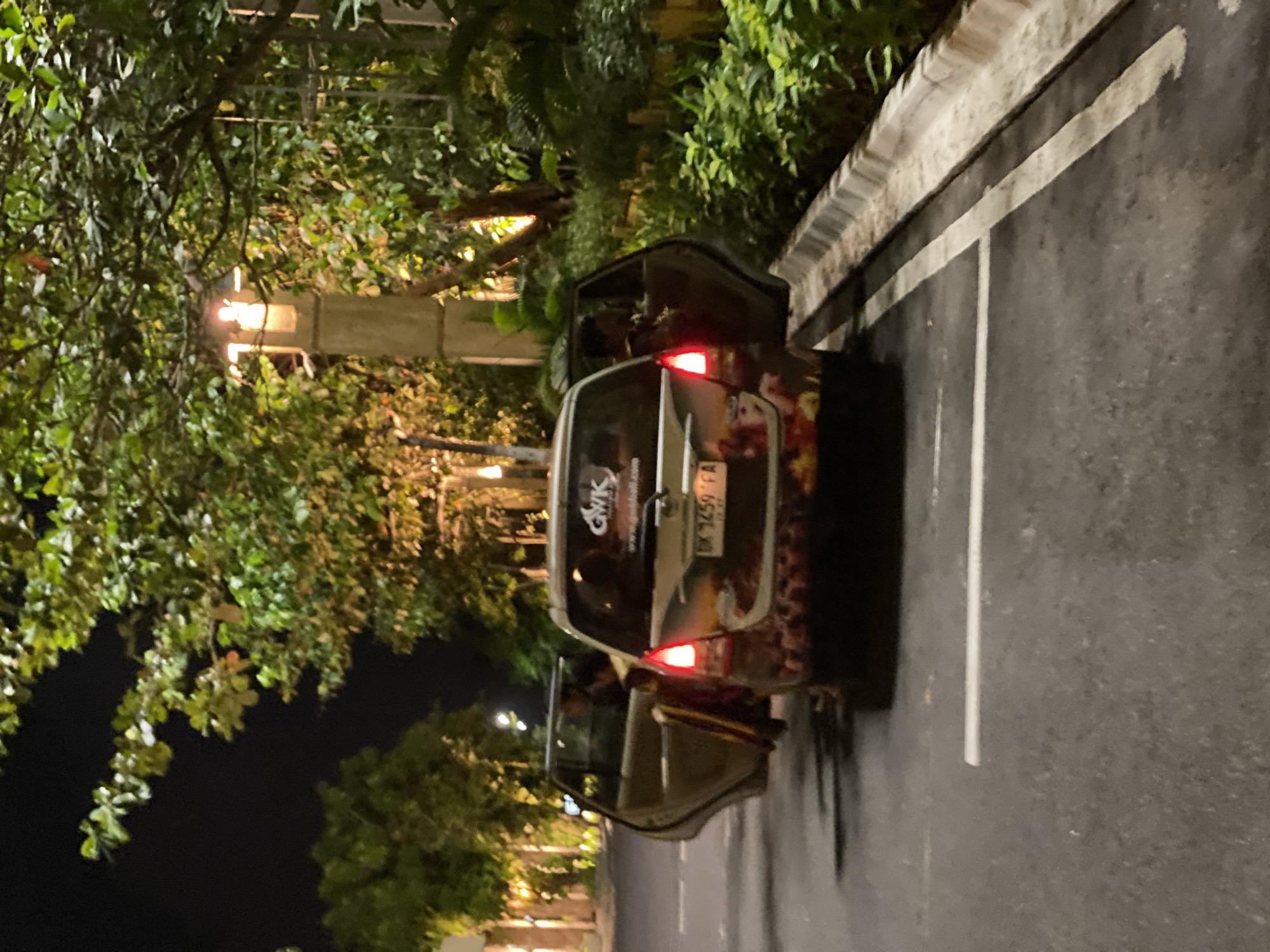 A rear view of a silver minivan is captured at night in a parking lot in Kuta Selatan, Indonesia. The van's rear doors are open, and a person is visible inside. The van is decorated with a colorful graphic on its rear. The vehicle has license plates that read "DK 7459 FA". The van is parked next to a curb, with lush green foliage visible on the right side of the frame. A street lamp illuminates the scene, casting a warm glow on the surrounding trees and vegetation. The asphalt parking lot is marked with white lines.