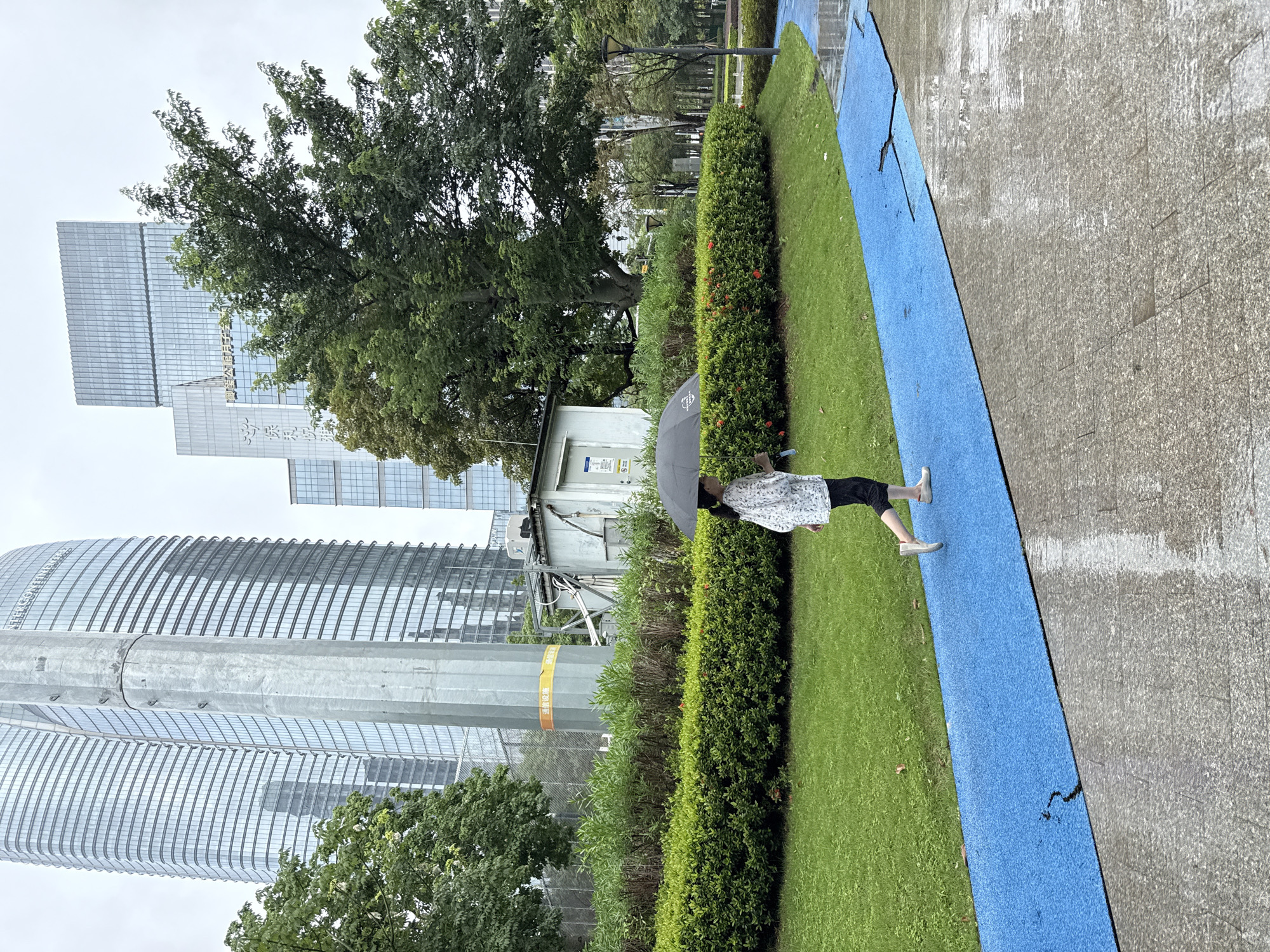 This media file captures a scene in Haizhu District, China, on a cloudy day. The primary subject is a person holding a black umbrella and walking along a bright blue path. The individual is wearing a white patterned shirt and black pants. They are positioned on the right side of the frame, with their back partially to the camera.
The setting appears to be a park or outdoor area adjacent to modern architecture. In the background, there are several tall buildings with glass facades, indicating an urban environment. One building has a distinctive curved shape. Green manicured bushes and grass are prominent features of the park, creating a contrast with the surrounding urban landscape. A light gray, rectangular structure, possibly a utility building, is visible behind the bushes.
The ground is a mix of a textured gray surface, the blue path, and green grass. The presence of the umbrella and the slightly wet appearance of the gray ground suggest it might be raining or has recently rained. The overall atmosphere seems calm, with the person perhaps seeking shelter from the weather or enjoying a walk. There is no visible text in the image. The time of day is not explicitly indicated but the overcast sky suggests it is daytime.