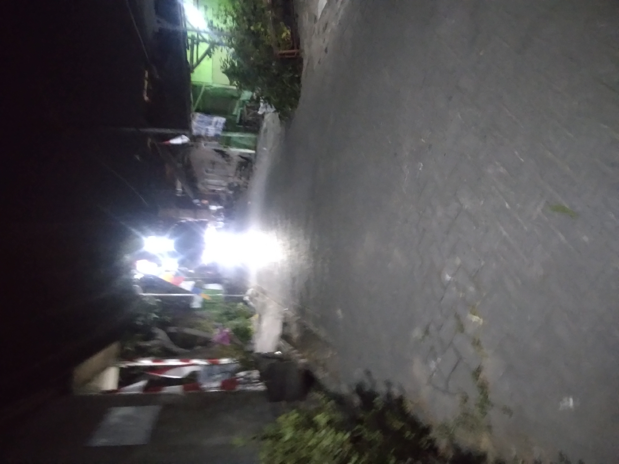 The image depicts a dimly lit, narrow street in Wringinanom, Indonesia, at night. The street is paved with interlocking bricks. On the left side of the street, there is a building with a dark facade and a white and red flag hanging on it. Adjacent to the building, there are some green bushes. The right side of the street features several buildings with green walls, some of which appear to be shops or stalls. There is also dense green vegetation on the right side, obscuring some of the structures. A bright light source, possibly from a vehicle or a street lamp, illuminates the middle of the street, creating a strong glare and washing out details in that area. The overall scene suggests a residential or commercial area in a town at night.