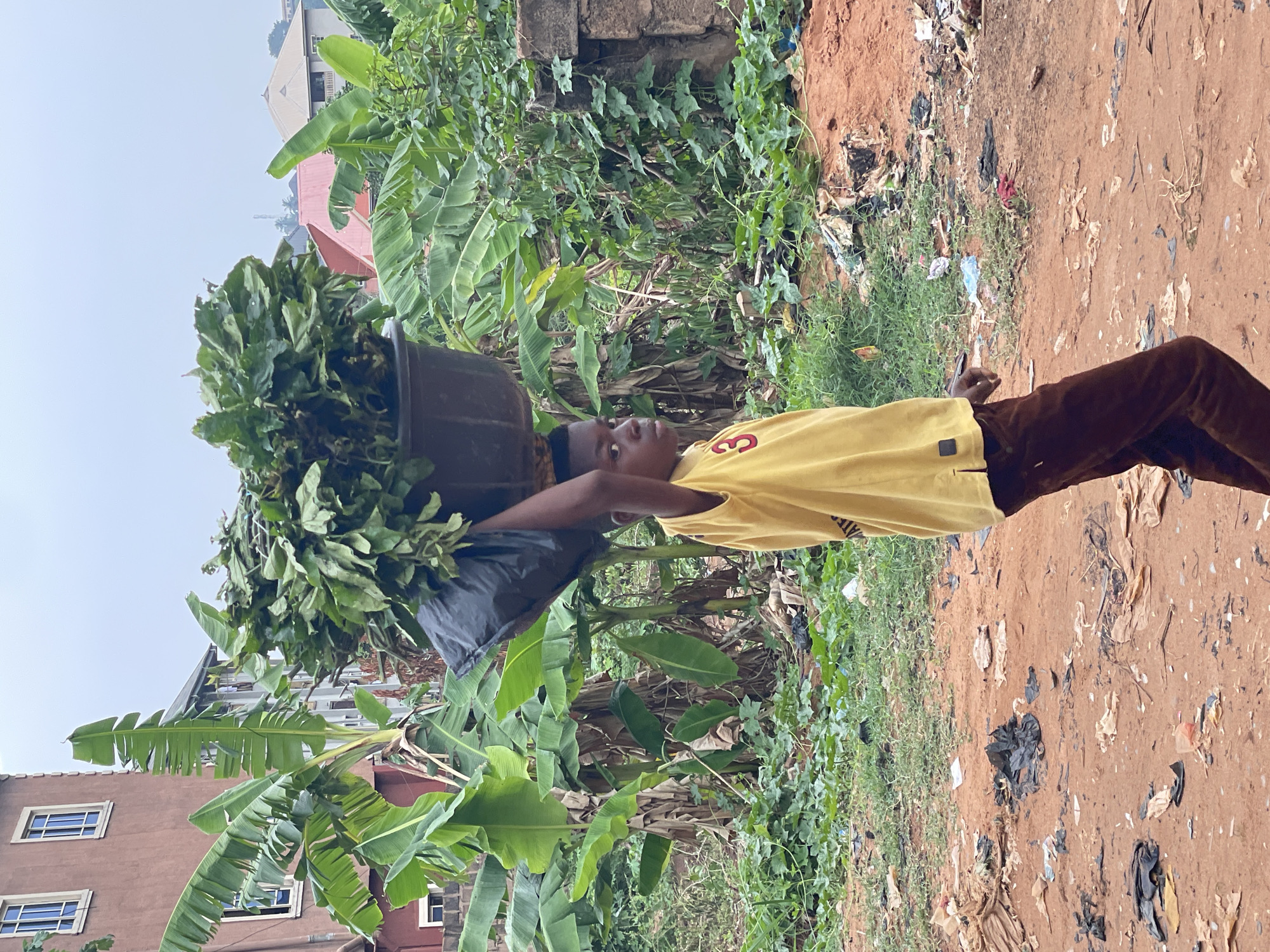In Onitsha, Nigeria, a young person carries a large container of leaves on their head. The person is wearing a yellow shirt with a "3" on it and brown pants. They are walking on a dirt path strewn with litter, next to a patch of green vegetation including banana plants. A building is visible in the background.