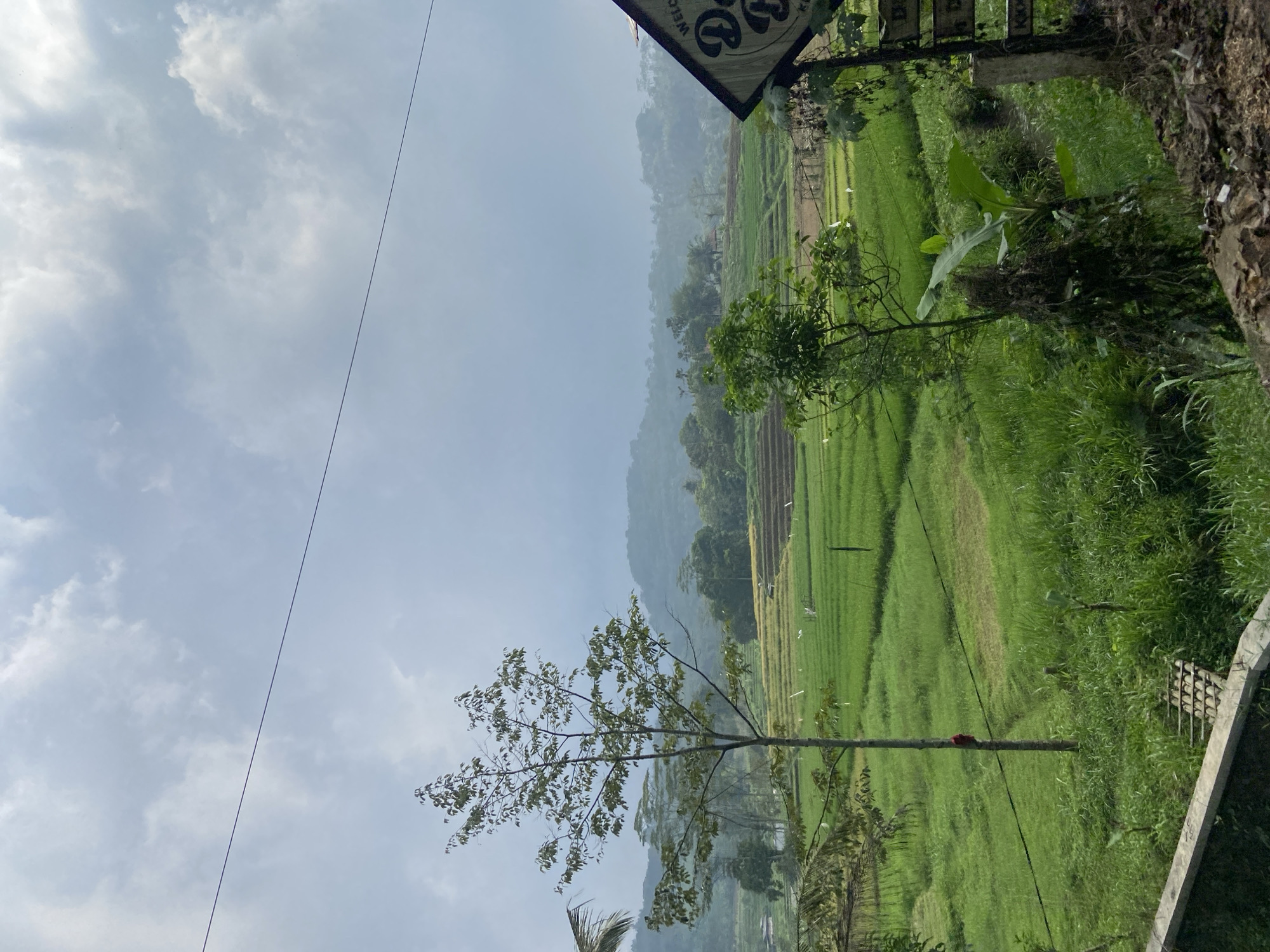 A landscape photograph taken in Belik, Indonesia, shows a rural scene with rice paddies on terraced hillsides under a cloudy sky. A slender tree with bare branches stands in the foreground. A power line crosses the sky. Lush green vegetation, including grasses and trees, borders the rice paddies. A sign and a small concrete structure are visible on the right edge of the frame. The hills in the background fade into a misty haze.