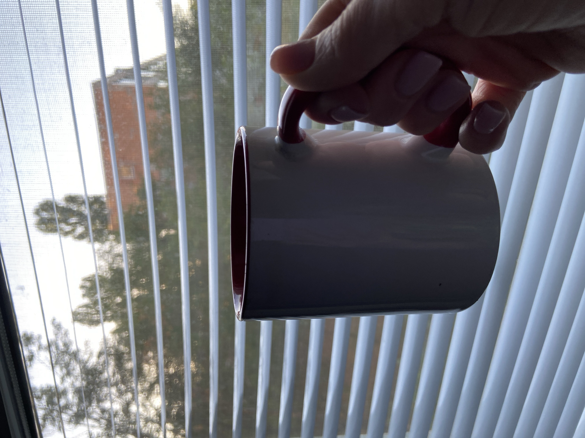 A hand with light pink nail polish is holding a white mug with a red rim and handle. The mug is positioned in the foreground, obscuring part of the background. The background consists of horizontal blinds with a view of trees and a brick building through them. The lighting suggests it is either early morning or late afternoon. The location is described as Unknown, Unknown.
