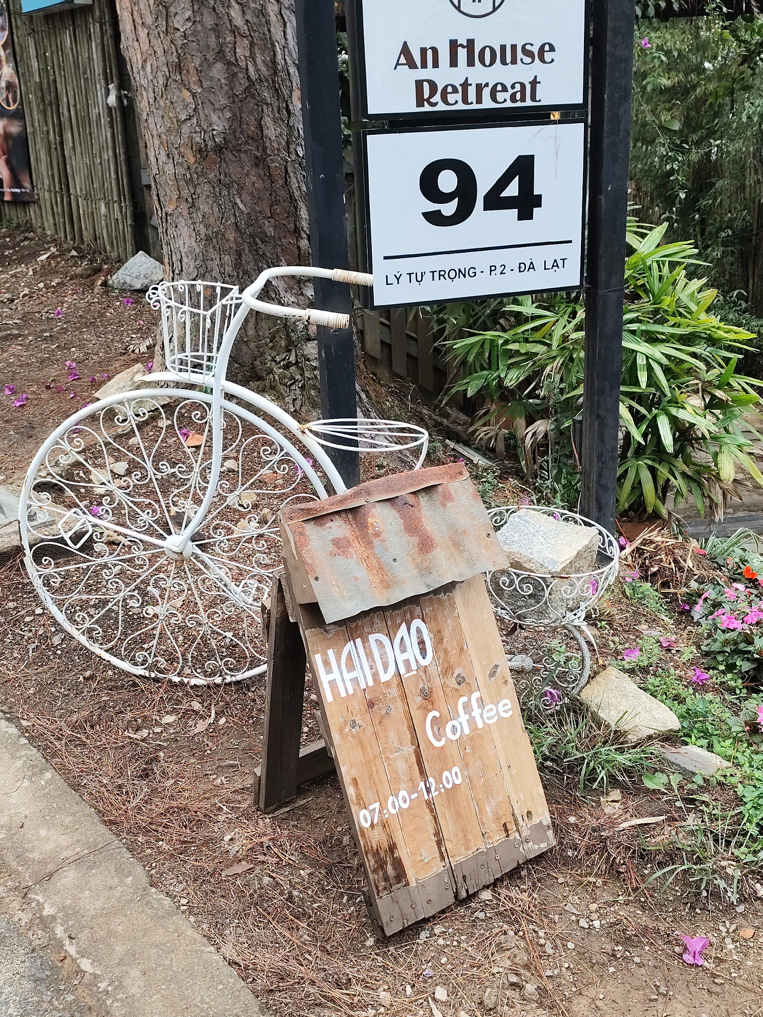 This outdoor eye-level shot captures the entrance to a business, likely a retreat or coffee shop, in Da Lat, Vietnam. The scene is dominated by signage and decorative elements amidst a natural setting.
On the right, a black metal signpost holds two white rectangular signs. The upper sign reads "An House Retreat" in brown text. Below it, a larger sign displays the number "94" prominently in black, followed by the address "LÝ TỰ TRỌNG - P.2 - ĐÀ LẠT" in smaller black text.
To the left of the signpost, a white, ornate metal bicycle serves as a decorative planter or prop. Its wheels feature intricate, swirling patterns, and a small basket is attached to the handlebars. On the ground in front of the bicycle and signpost, a rustic A-frame wooden sign with a rusted corrugated metal top stands. White text painted vertically on the sign reads "HAIDAO Coffee" and below that, "07:00-12:00", indicating operating hours.
The ground is covered with a mix of dry pine needles, dirt, and small rocks. A large tree trunk with rough bark is visible behind the bicycle, and lush green foliage, including palm-like plants and smaller shrubs with purple and orange flowers, fills the background. A concrete curb runs along the bottom left of the frame. The bright, even lighting suggests it is daytime. The overall impression is a quaint and inviting establishment, possibly in a slightly elevated or natural setting given the pine needles and foliage.