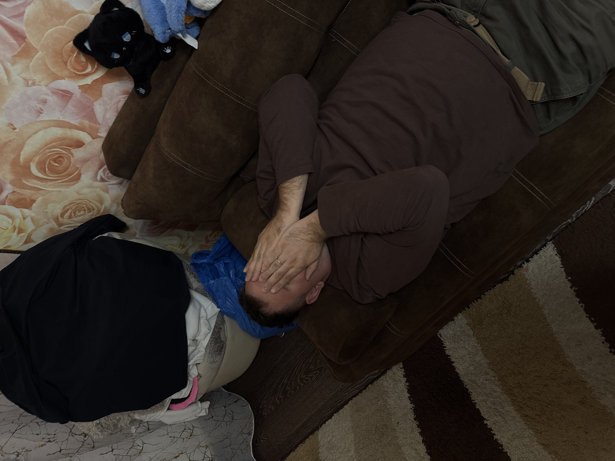A man lies face down on a brown sofa, covering his face with his hands. He is wearing a long-sleeved brown shirt and dark trousers. A green jacket lies near him on the sofa. Beside the sofa, a laundry basket overflowing with clothes is visible. A plush black cat and other stuffed animals rest near the top of the sofa on a surface patterned with roses. A striped rug is partially visible in the lower right corner. The location is in the city of Unknown, Unknown.