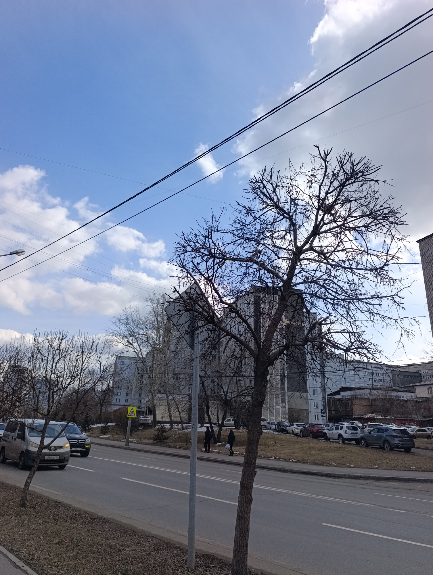 The image depicts a street scene in Krasnoyarsk, Russia. A four-lane road with a median divides the frame. On the left side of the road, a silver minivan and a black SUV are driving. The sidewalk is edged with a grassy area with bare trees. On the right side, a row of parked cars lines the street. Several pedestrians are walking on the sidewalk. A tall bare tree stands near the median. Behind the tree, a large apartment building dominates the background. Overhead, power lines stretch across the sky, which is partially cloudy with a mix of blue sky and white clouds.