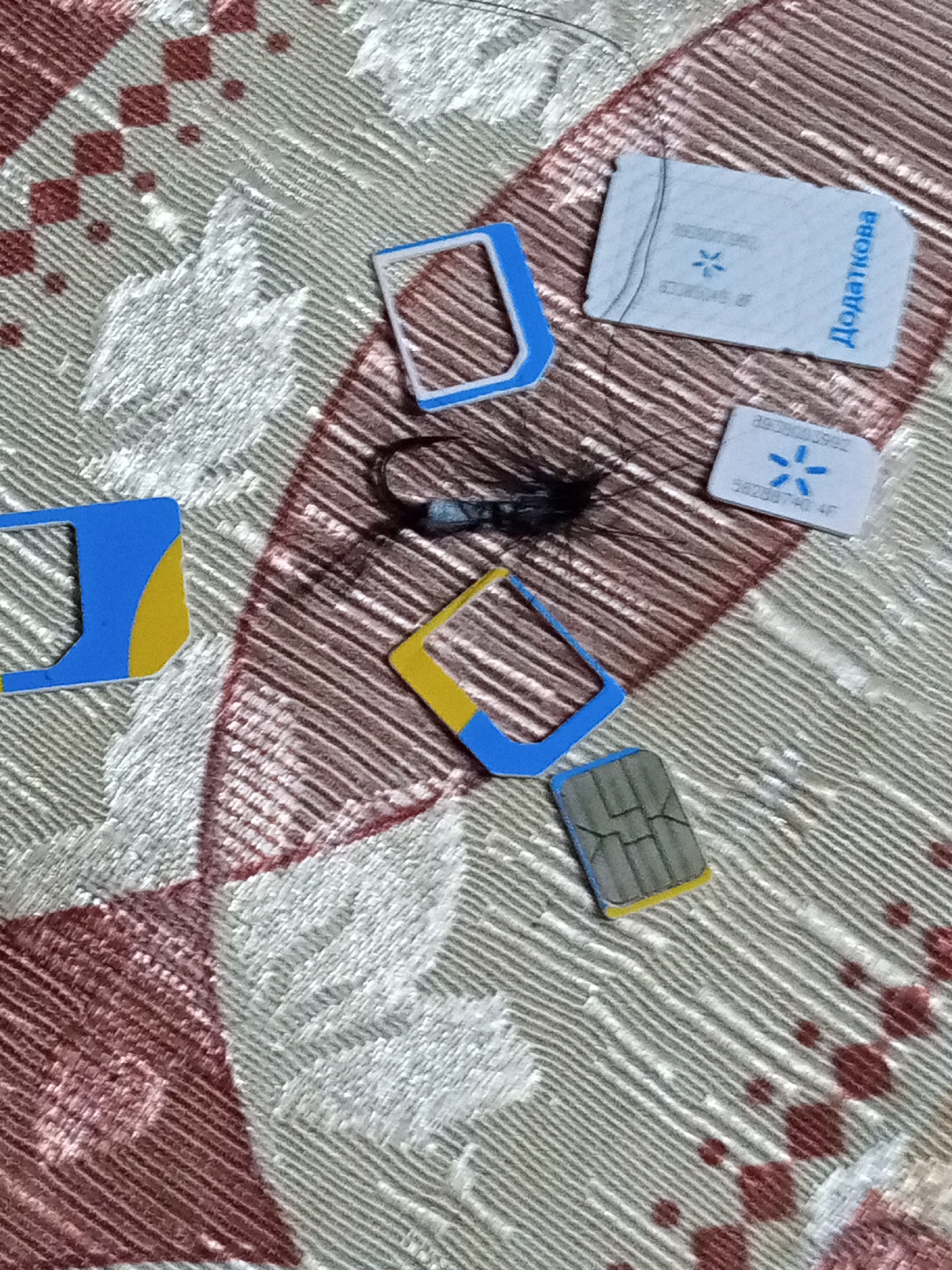 Memory
