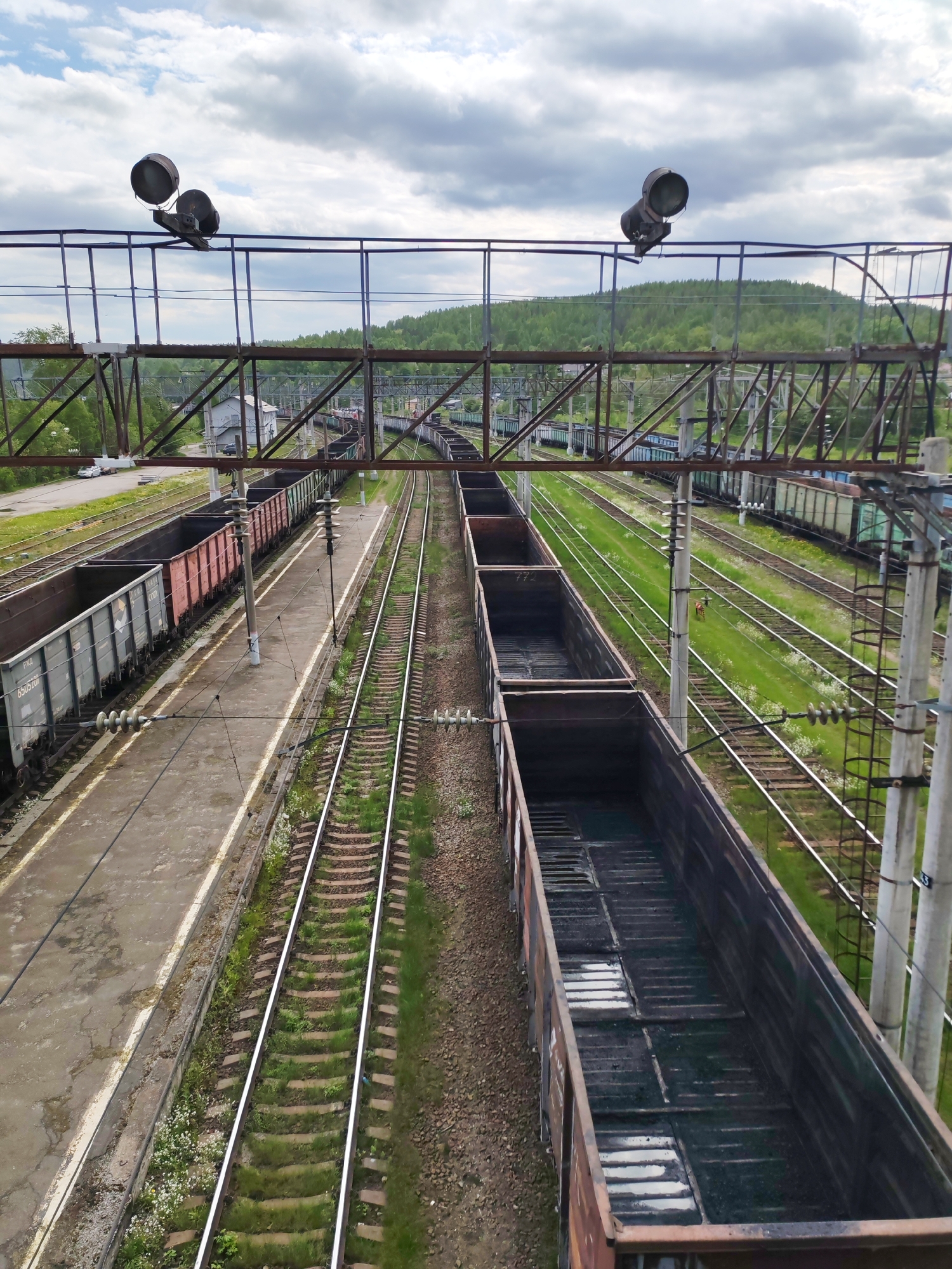 The image captures a high-angle view of a railway station or marshalling yard in Medvezhyegorsk, Russia, under a cloudy, overcast sky during the daytime. The perspective is from an elevated metal truss structure, possibly a pedestrian bridge or an overhead gantry, which dominates the foreground and mid-ground. Two large, industrial spotlights are mounted on top of this structure.
Below the structure, multiple parallel railway tracks stretch into the distance. On the left side, a concrete platform borders a set of tracks. Several freight cars, specifically open-top gondola wagons, are parked on these tracks. These include light grey, reddish-brown, and darker brown wagons, all appearing empty. The visible text on a light grey freight car reads "ГРЭР" (GRER) and "6505101". Another reddish-brown car further down has "СОМД" (SOMD) written on its side. On a brown freight car on the far right, the number "772" is visible.
The tracks are laid on gravel ballast with a mix of wooden and concrete sleepers. Green grass and weeds grow abundantly between the tracks and sleepers, indicating a period of inactivity or a less frequently used section. Concrete poles with insulators, part of the railway's infrastructure, are spaced along the tracks.
In the background, more tracks and freight cars extend towards a forested landscape. A small, light-colored building is visible amidst trees in the mid-distance. The horizon is marked by rolling, forested hills under the expansive cloudy sky. There are no people visible, and no trains are actively moving, depicting a quiet, operational railway environment.