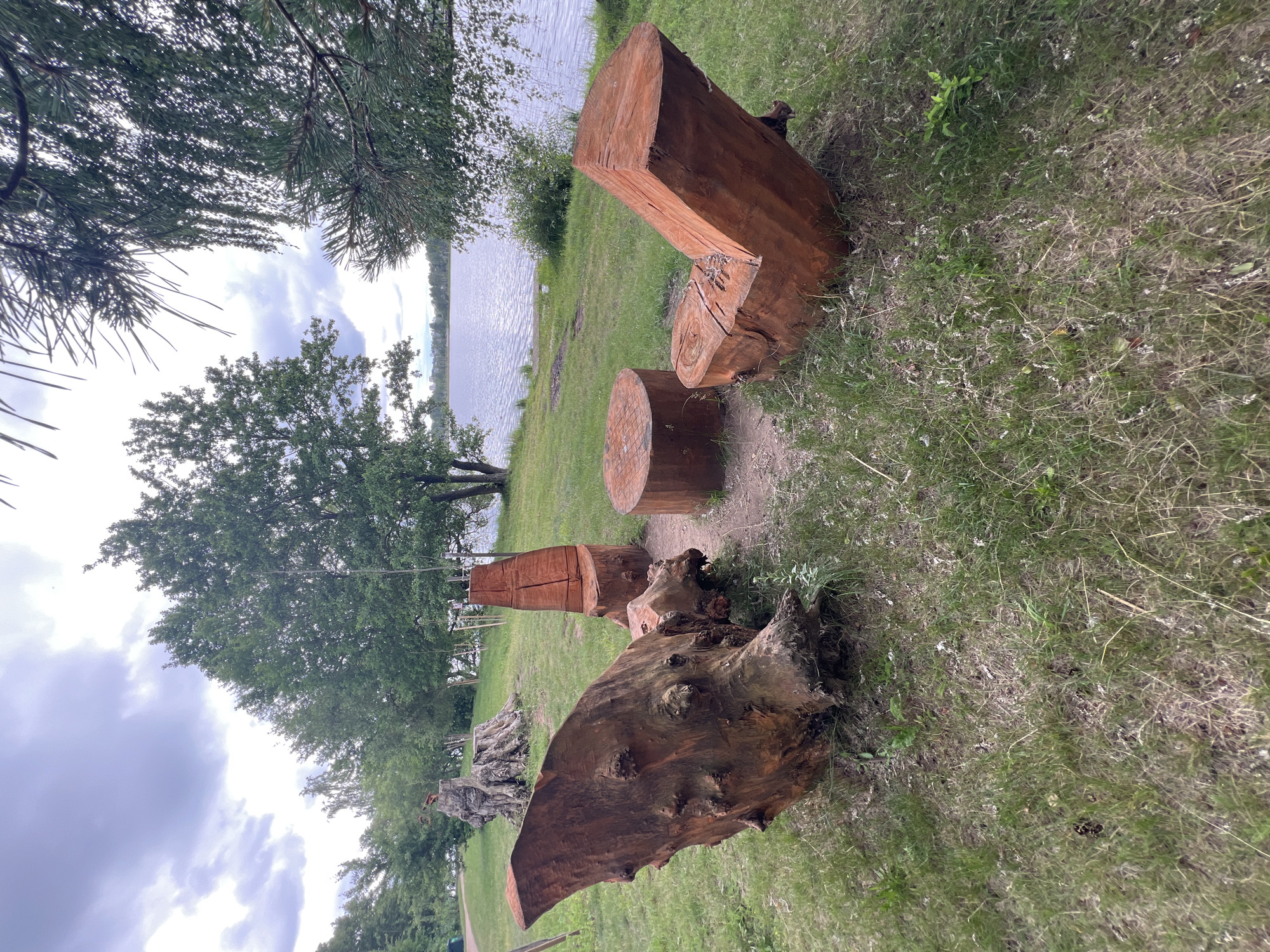 An outdoor seating area is arranged on a grassy bank next to a body of water. The seating consists of three carved wooden elements: a large, uniquely shaped log that appears to serve as a bench or sculpture, a cylindrical log table, and a log carved into a chair with a slanted back. The backdrop features a calm lake with a treeline on the far shore, under a cloudy sky. In the middle ground, several trees of varying sizes are present. The foreground is covered in green grass, with some dry patches and scattered leaves. The scene appears to be a park or recreational area.