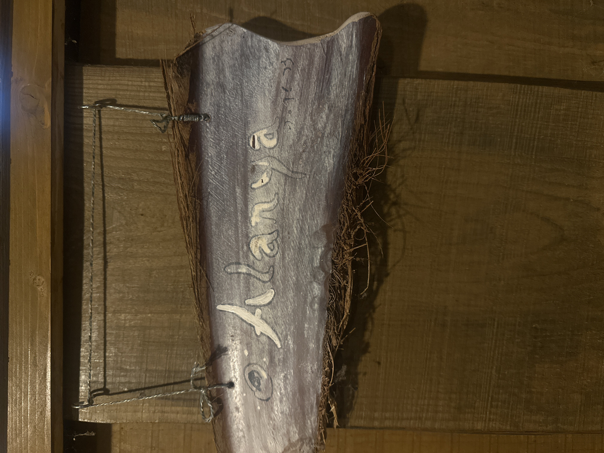 This is a close-up, rotated, eye-level shot of a rustic, handmade sign. The sign is made from what appears to be a piece of palm frond, with the natural fibers and outer bark still visible along the edges. The front surface of the sign has been painted a light, desaturated purple or lavender color and has a somewhat rough, textured finish.
Hand-painted in white, stylized lettering is the word "Alana." Beneath "Alana," there is a small, circular design with concentric rings, painted in black and white. Towards the top of the sign, there is also some fainter, black-ink writing that appears to be a date or initials, possibly "GC H 27.3.39" or similar. The sign is attached to a wooden plank wall by two pieces of thin wire, which are looped around eye hooks screwed into the sign and then twisted around small nails embedded in the wooden wall.
The background is a wooden wall with horizontal planks. The lighting suggests an indoor setting, possibly dimly lit, with a shadow cast from the sign onto the wooden wall. The overall impression is of a decorative or memorial item, possibly created as a personal memento. The presence of the natural fibers and weathered appearance of the sign suggest it might be displayed outdoors or in a rustic setting. The location context provided is Lapės, Lithuania.