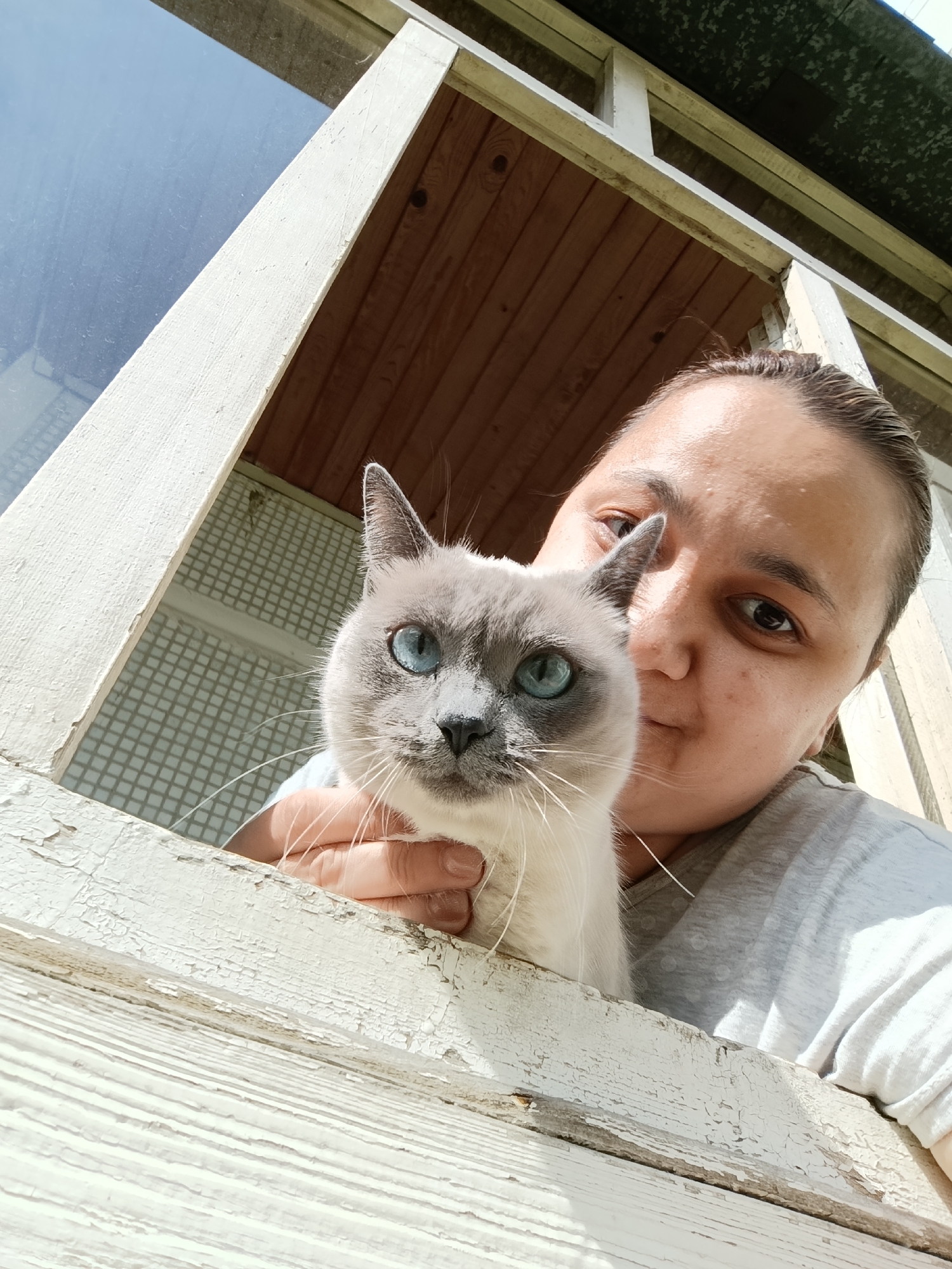 A close-up, low-angle outdoor selfie taken by a woman holding a Siamese cat. The woman, with dark hair pulled back and wearing a gray t-shirt, is positioned on the right side of the frame, looking towards the camera. The cat, a Siamese with striking blue eyes, is on the left, its head resting on the woman's arm. They are positioned in front of a weathered wooden window frame, with a blue sky visible through the window. The background shows wooden siding and a green roof. The overall scene suggests a casual, outdoor moment, possibly on a porch or balcony. The city of Chaikovsky, Russia, is not discernible from the provided image.