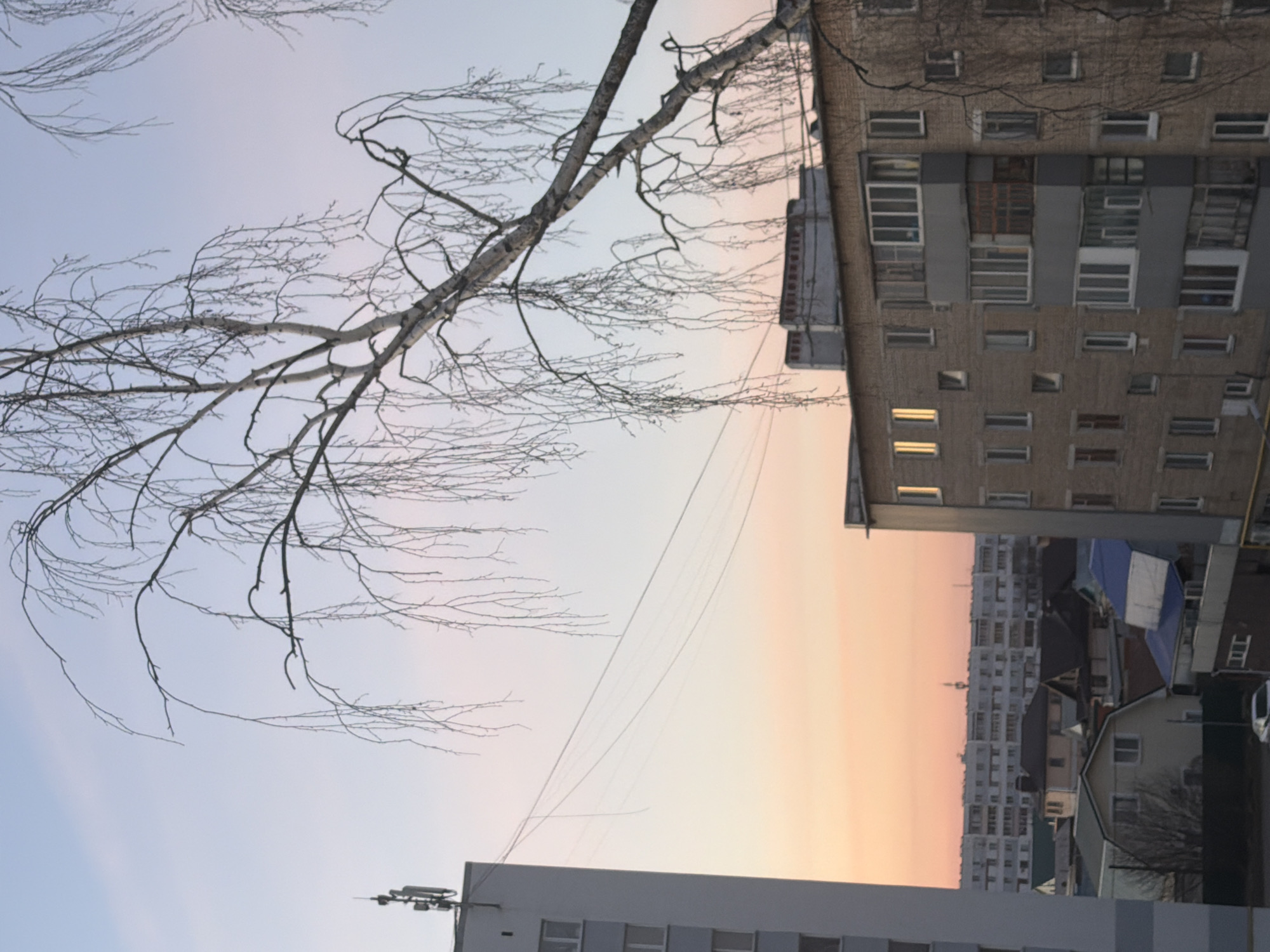 The image shows a view in Naberezhnye Chelny, Russia. The scene is an urban setting at sunset/twilight. A bare birch tree branch extends across the top left of the image. Behind the branch is the sky, transitioning from a light blue to a gradient of orange and pink near the horizon. In the upper right of the image is the side of a multi-story apartment building, with numerous windows visible. Some windows are lit from within. Below and to the left, behind the apartment building, are more buildings, including what appears to be a mixture of high-rise apartment blocks and lower houses, some with angled roofs. A white car can be seen. Utility wires extend across the image. In the lower portion of the image are portions of buildings, including a tall white building with a satellite dish. There are no people visible in the image.