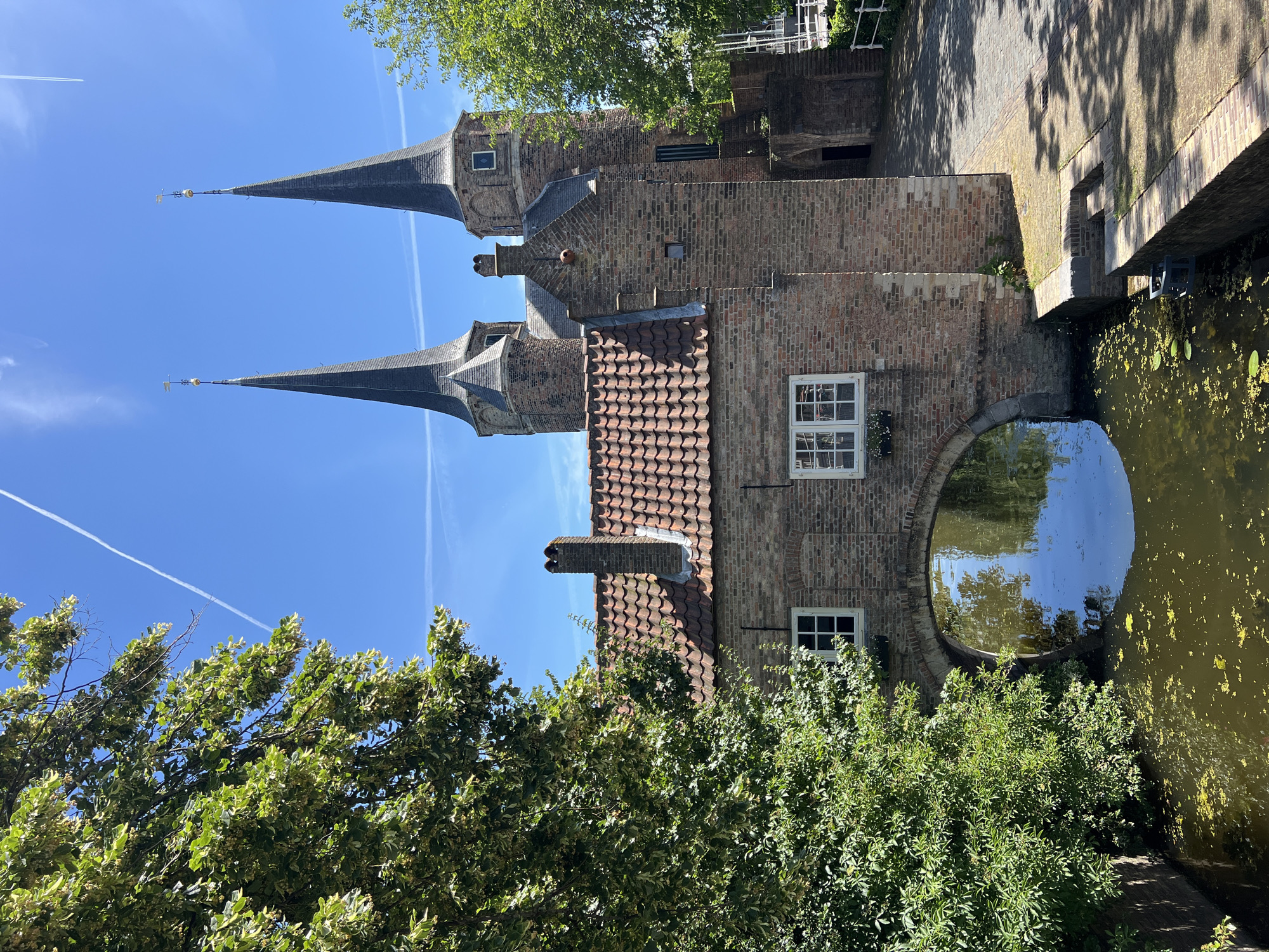The image depicts the Koepoort (Cow Gate) in Delft, Netherlands, on a clear day with a bright blue sky. The gate is a historic brick structure with two prominent, dark-tiled spires topped with golden finials. An arched passageway is visible through the center of the lower part of the gate, allowing a canal to pass beneath it. The canal is calm, reflecting the sky and surrounding greenery, and has some scattered yellow and green debris on its surface.
To the left of the gate, a large, lush green tree with abundant foliage partially obscures the view. The brickwork of the gate is visible, with two white-framed windows on the lower section and a red-tiled roof. Chimneys are present on the roof. The right side of the image shows a paved path leading away from the gate, with dappled sunlight and shadows cast by unseen trees. A white railing is also visible along the path. The overall scene conveys a sense of historical architecture and natural tranquility.