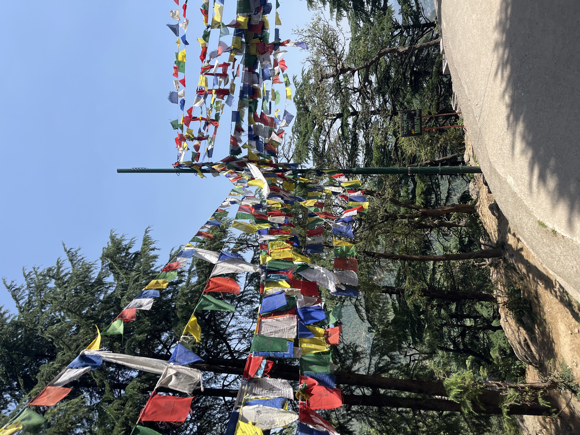 The image shows prayer flags strung across a road in Dharamshala, India. The flags are colorful, rectangular, and strung tightly together. They are attached to a green metal pole. Trees with dense green foliage are visible behind the flags. The sky is blue and clear. A concrete wall runs along the side of the road.
