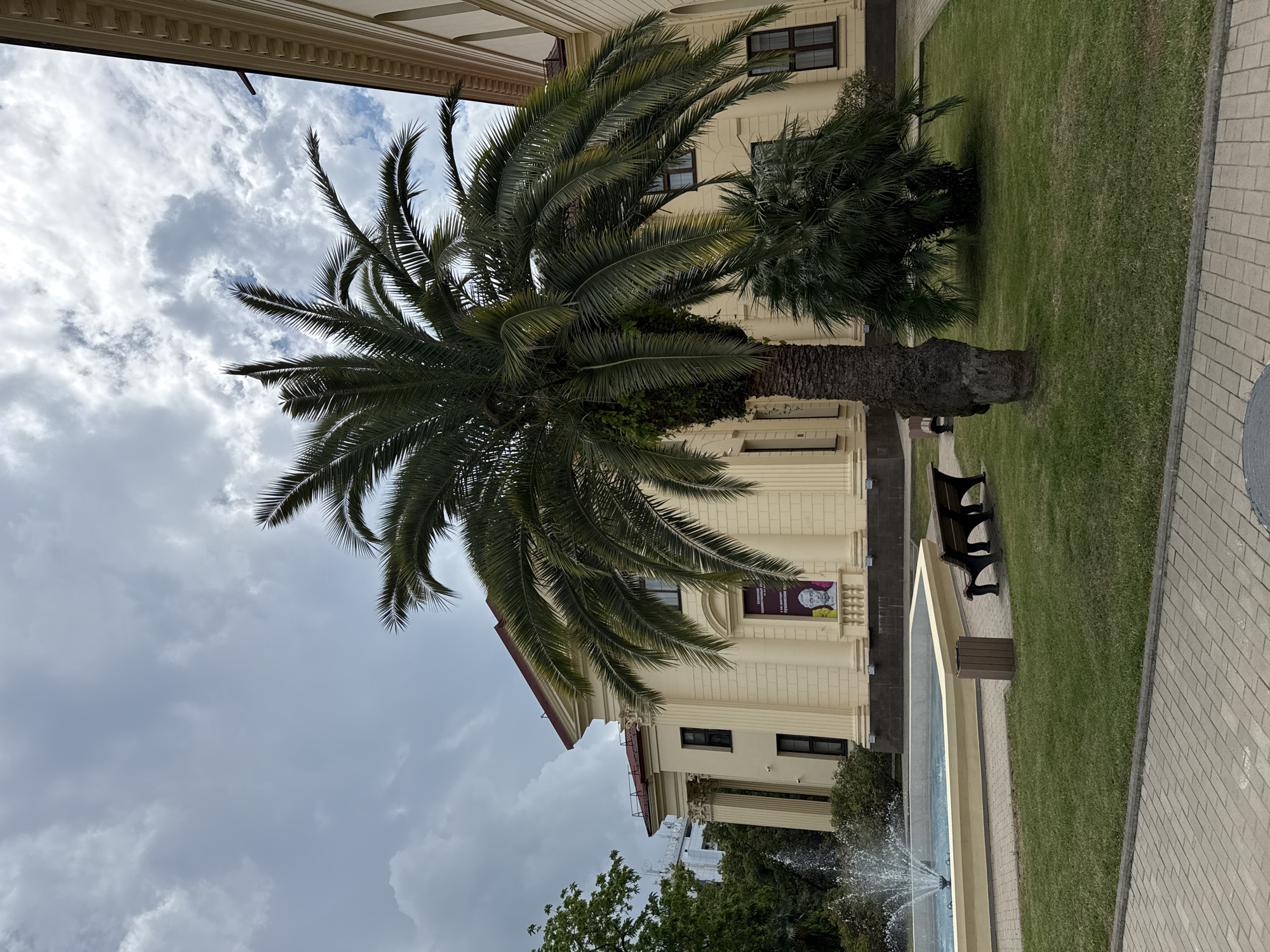 The image shows a large palm tree in the foreground, with a pale yellow building with classical columns in the background. A fountain is visible to the left of the palm tree, and a park bench and trash can are in front of the building. The sky is overcast with clouds. The building is likely the Winter Theater in Sochi, Russia, given the architectural style and the presence of palm trees and a fountain, which are common features in the city's public spaces. There are no people visible in the image.