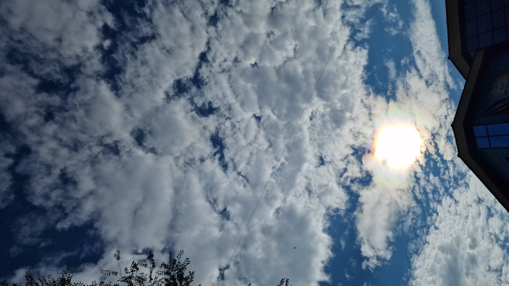 The image captures a bright, overcast sky with the sun visible as a radiant orb surrounded by a colorful halo, indicating a sun dog phenomenon. Fluffy white and grey clouds are scattered across the deep blue sky. In the lower part of the frame, the dark, angular roofline of a building is visible, with a section of its facade featuring dark windows. The building appears to be in the city of Kostanay, Kazakhstan, as suggested by text on a banner visible on its facade which reads "КАЛА КОНСТИТУЦИЯ", translating to "City Constitution". A single, thin black wire stretches diagonally across the sky, and a small dark silhouette of a bird is captured in flight. Foliage from a tree is partially visible in the upper left corner.