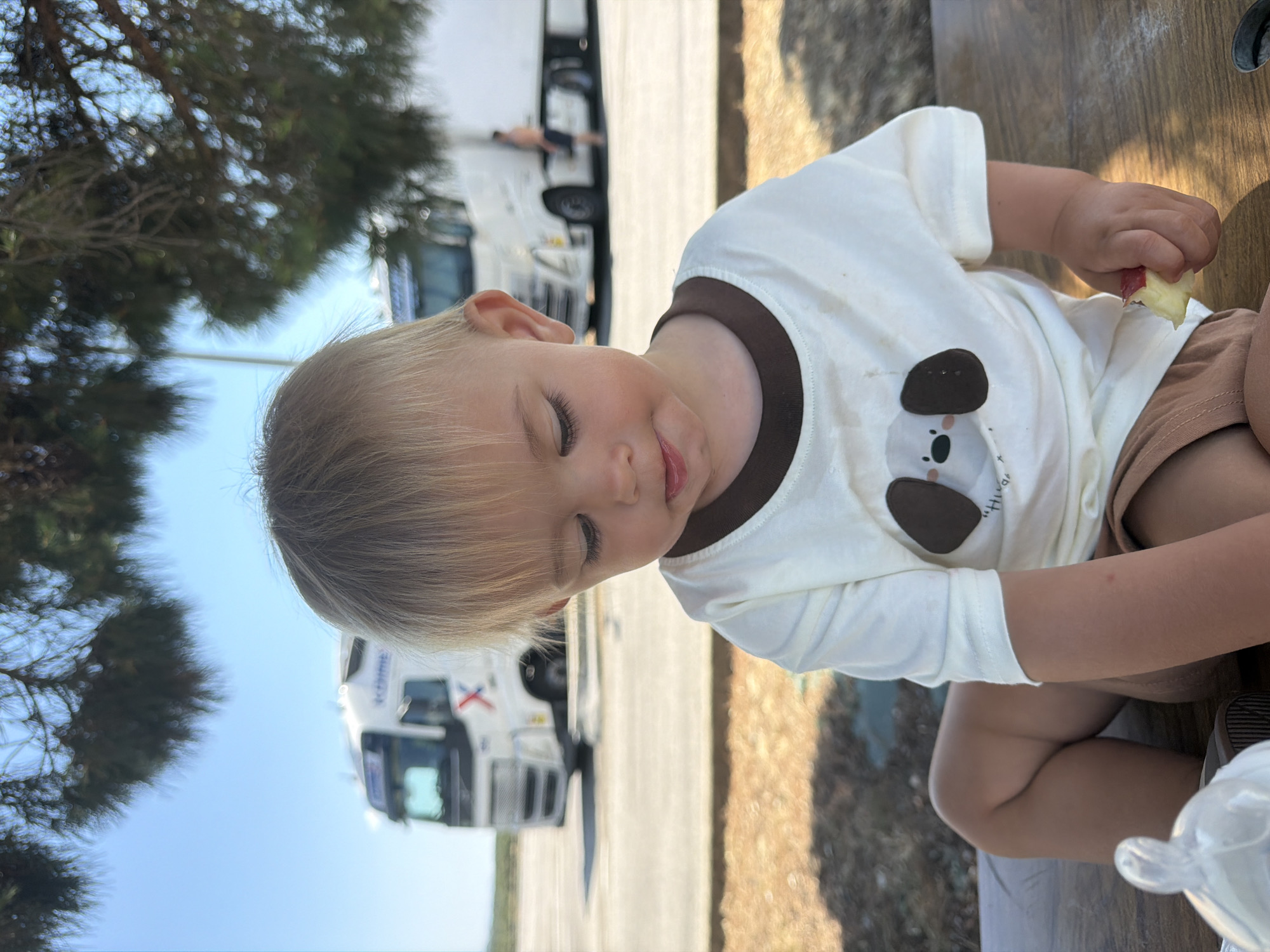 A young child with blond hair and fair skin is shown from the chest up, seated outdoors at a wooden table. The child is wearing a white t-shirt with a brown collar and a graphic of a koala on the front. They are also wearing brown shorts. The child is looking down and appears to be eating a piece of apple.
In the background, two white semi-trailer trucks are parked. One truck is closer and more in focus, with a person standing near the driver's side door. The other truck is further in the distance. Trees with green foliage are visible to the left, and the sky is blue with no visible clouds. The lighting suggests it is daytime, likely sunny. The setting appears to be a rest stop or parking area for trucks, possibly in Travel, France, given the context. The child's expression is one of gentle focus on the food.