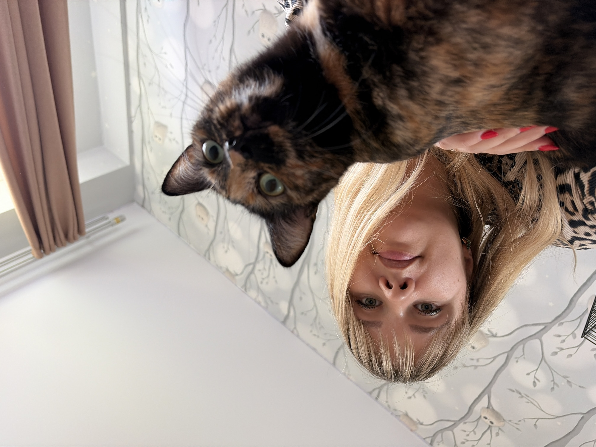A tortoiseshell cat is held above the viewer by a blond woman with red-painted nails. The photo appears to be taken inside, with a wall featuring a tree branch and owl pattern behind the woman and cat. To the left, there's a window with a beige curtain.
The photo was most likely taken in the city of Chaikovsky, Russia.
