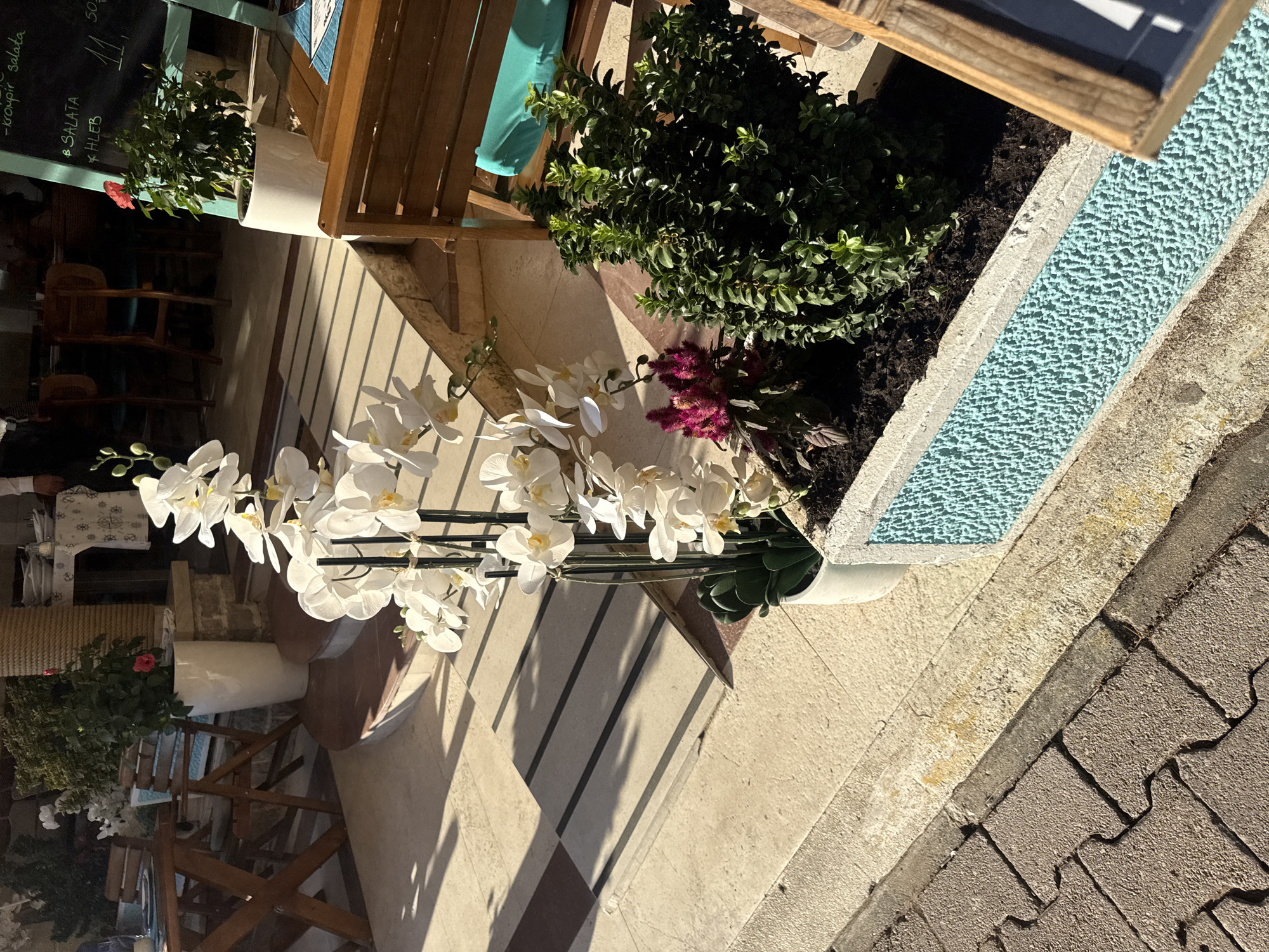 This is a close-up, eye-level outdoor shot of a plant display on a paved walkway in front of a restaurant. In the foreground, a white orchid plant is in bloom. To the right of the orchid, a dark green bush and a small plant with dark purple, feathery flowers are in a textured, light blue planter. The planter is situated on a light beige tiled surface. Beyond the planter, a wooden chair with a teal cushion is visible. In the background, there are wooden tables and chairs, a pillar wrapped in rope, and a chalkboard menu that reads "SALATA" and "HLEB". The scene is illuminated by natural sunlight, casting shadows across the walkway. The overall impression is a pleasant, outdoor dining setting.